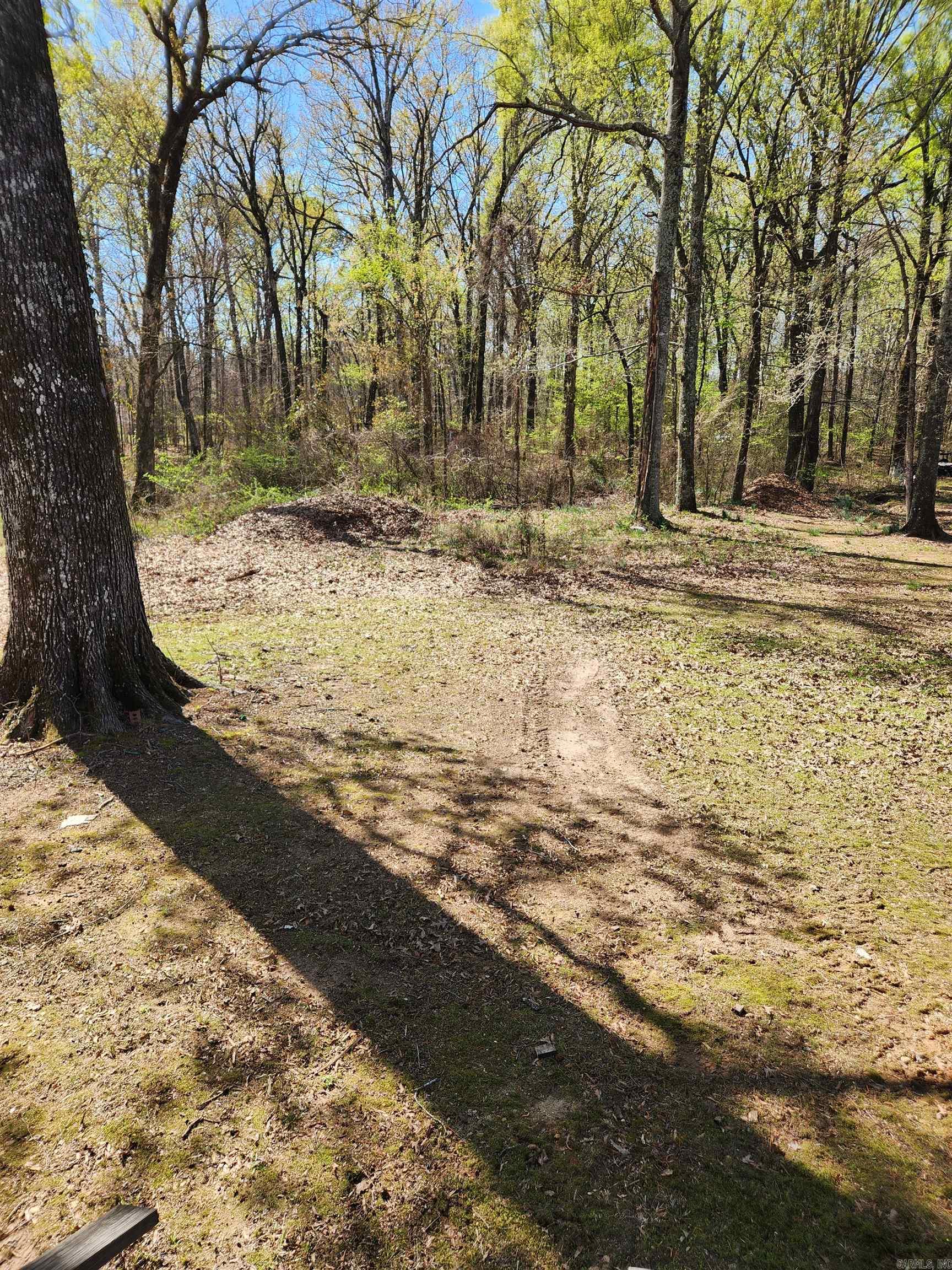 6194 Cane Creek  Star City, AR