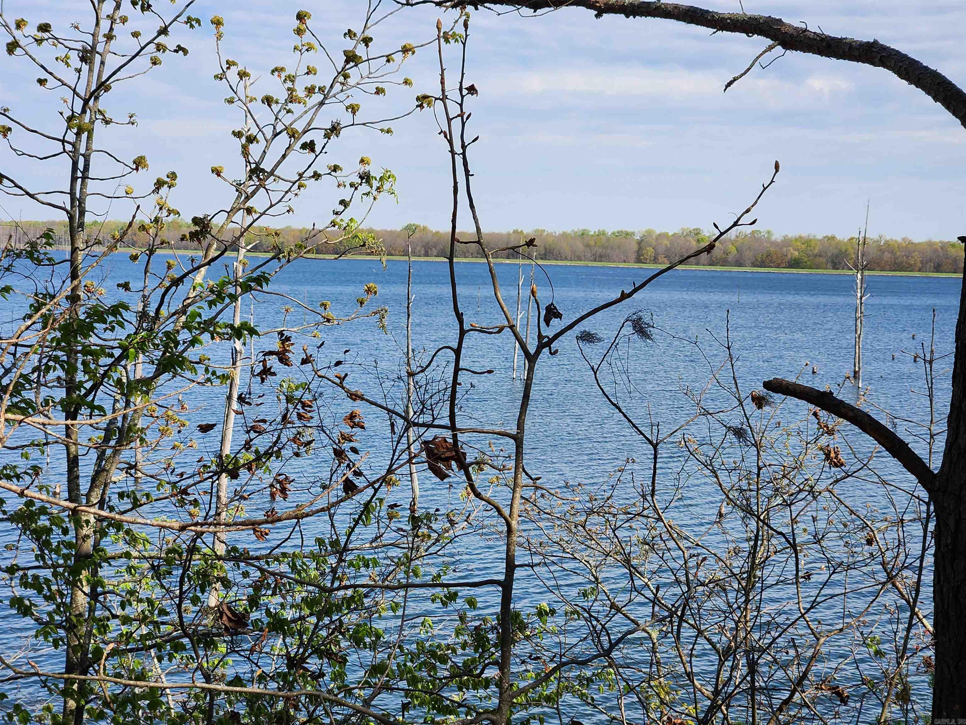 6194 Cane Creek  Star City, AR