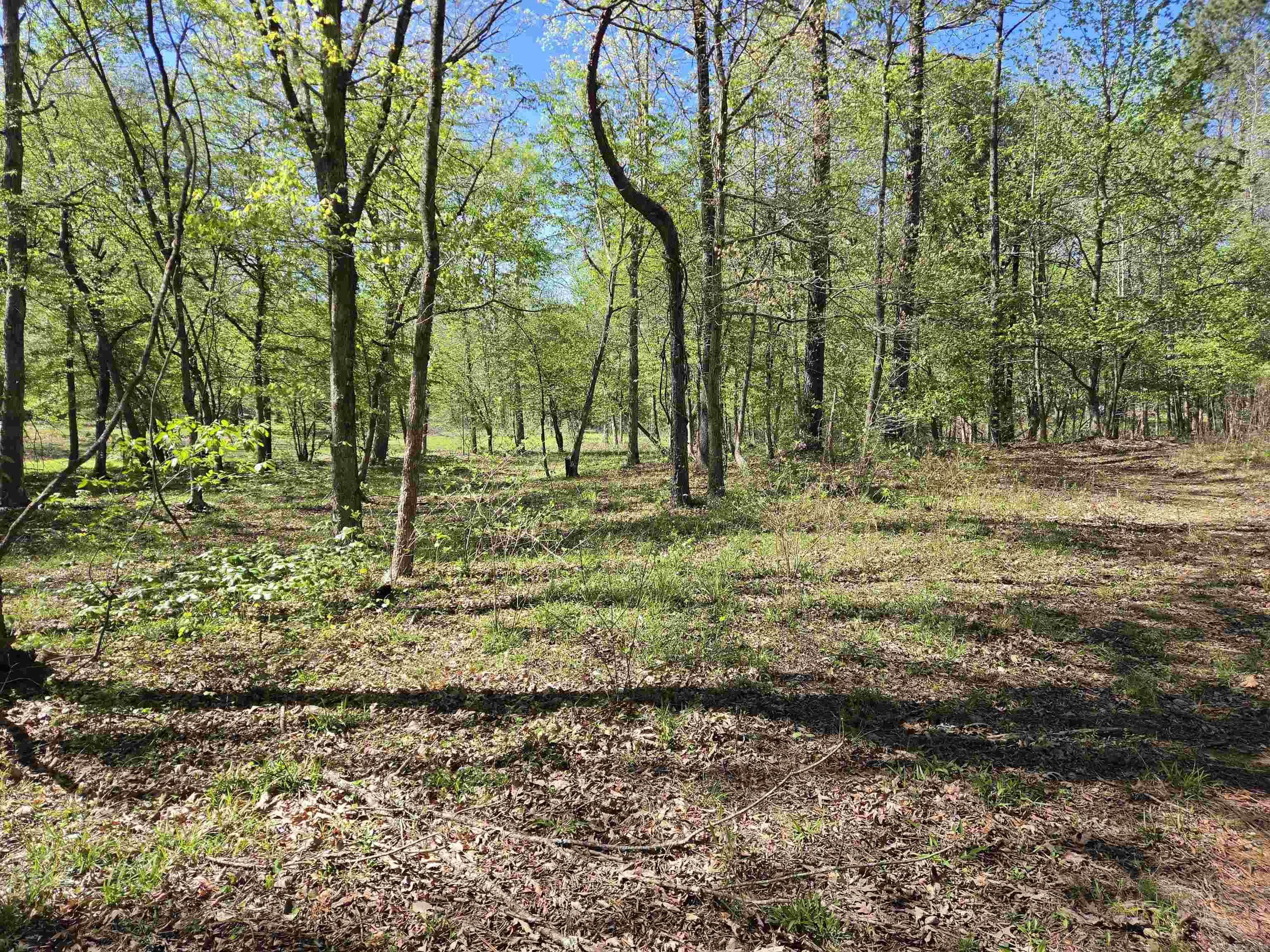 5 Acres of 2926 Bauxite Cutoff Road  Bauxite, AR