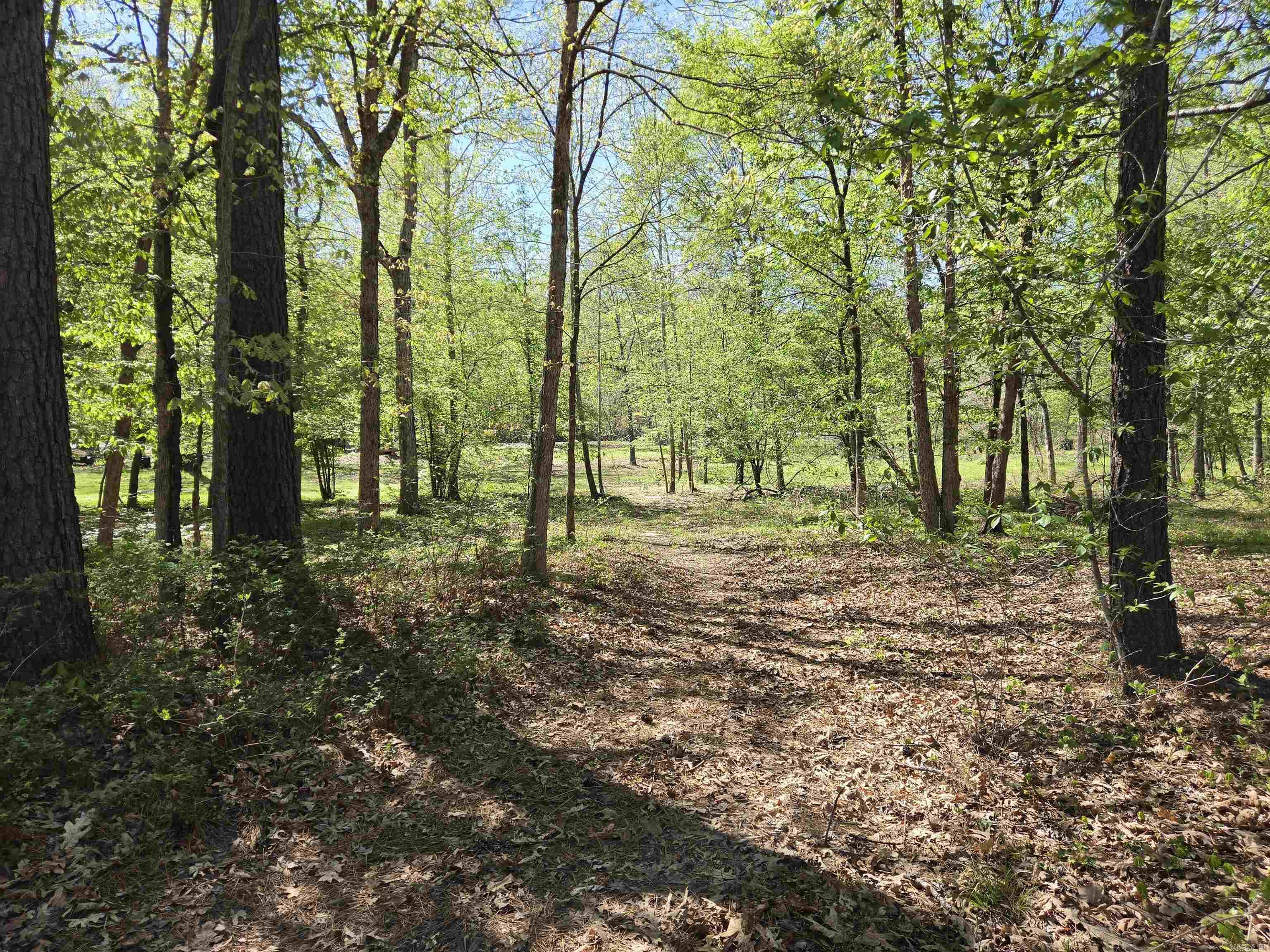5 Acres of 2926 Bauxite Cutoff Road  Bauxite, AR