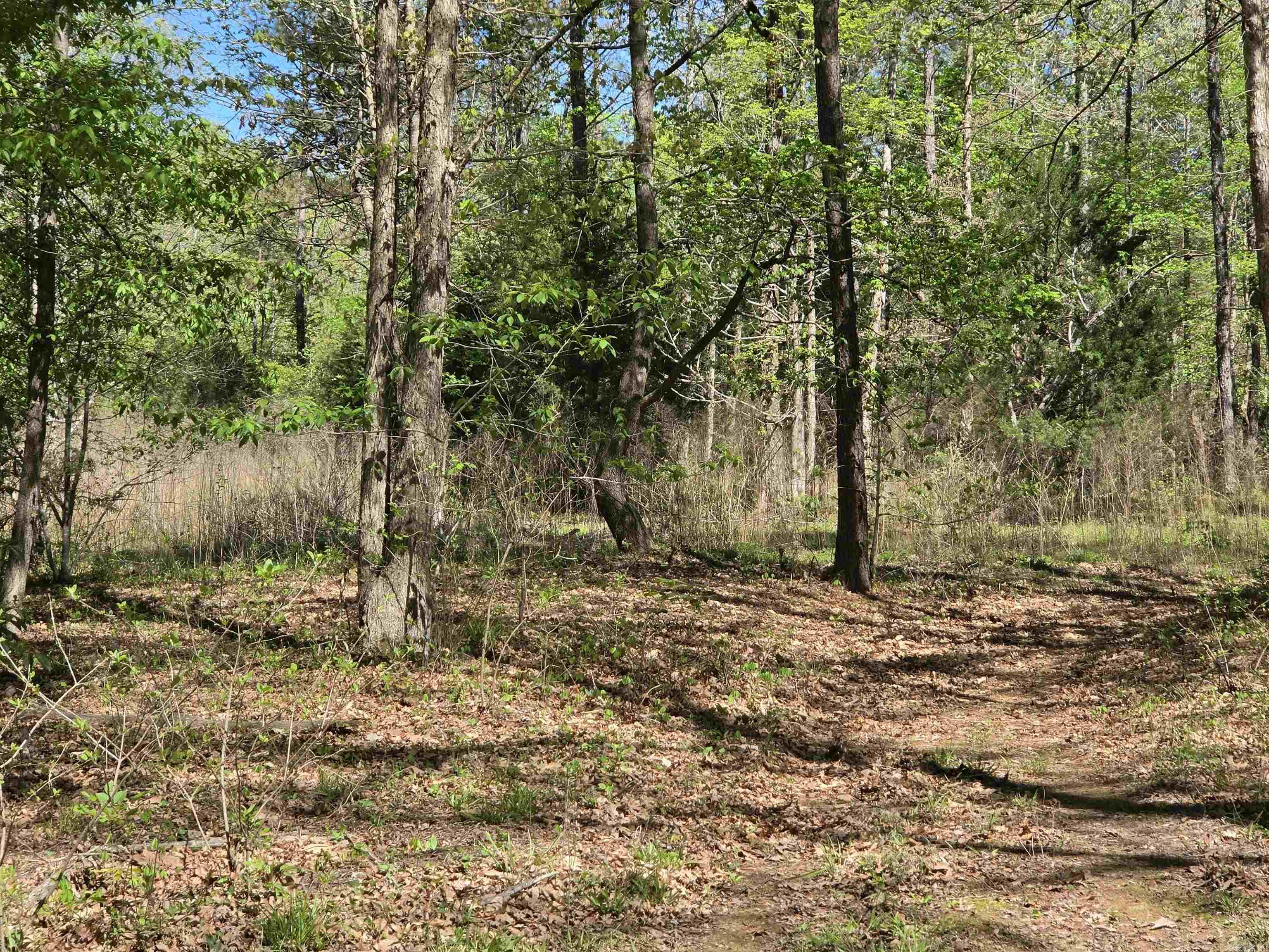 5 Acres of 2926 Bauxite Cutoff Road  Bauxite, AR