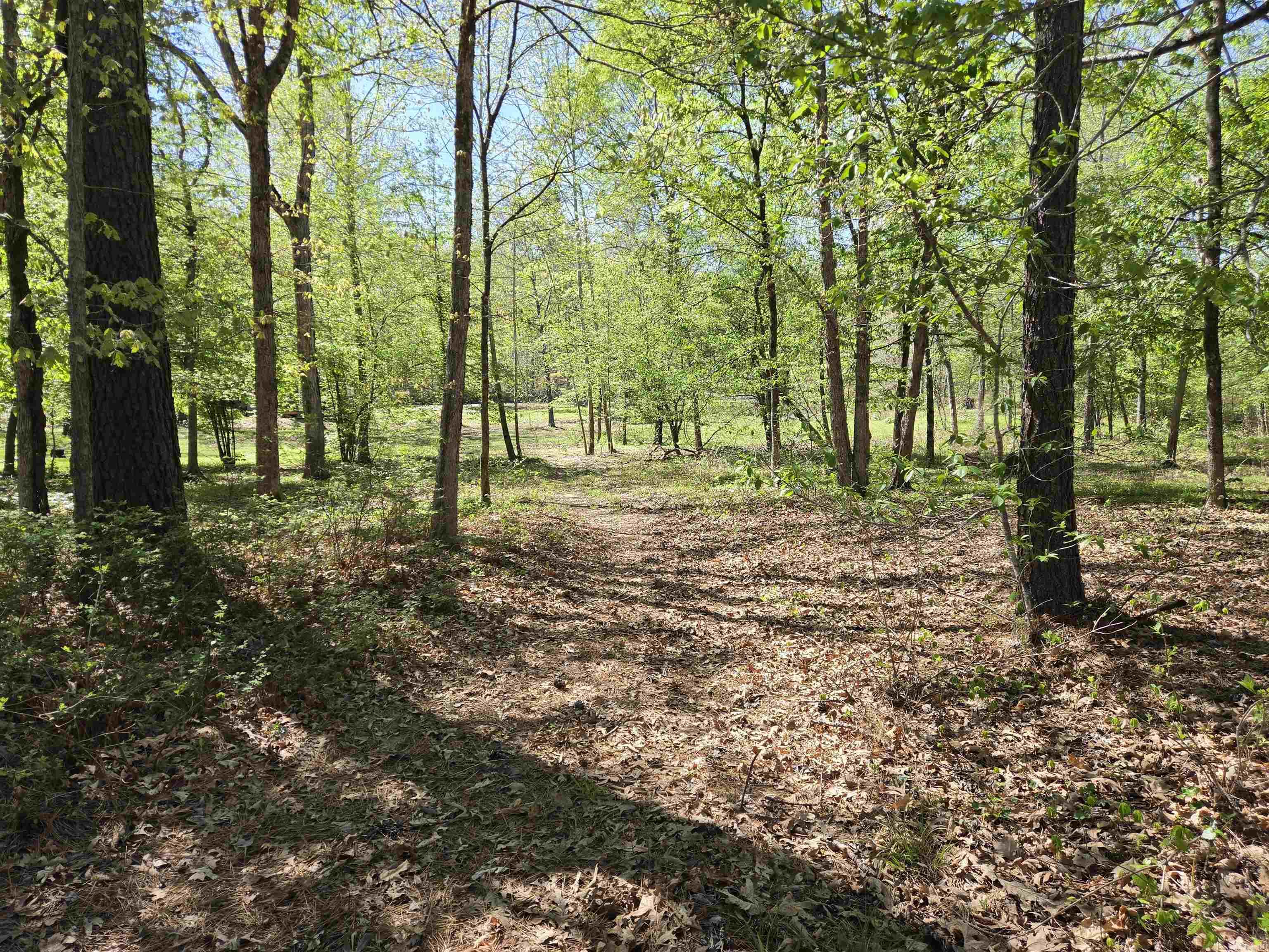 5 Acres of 2926 Bauxite Cutoff Road  Bauxite, AR