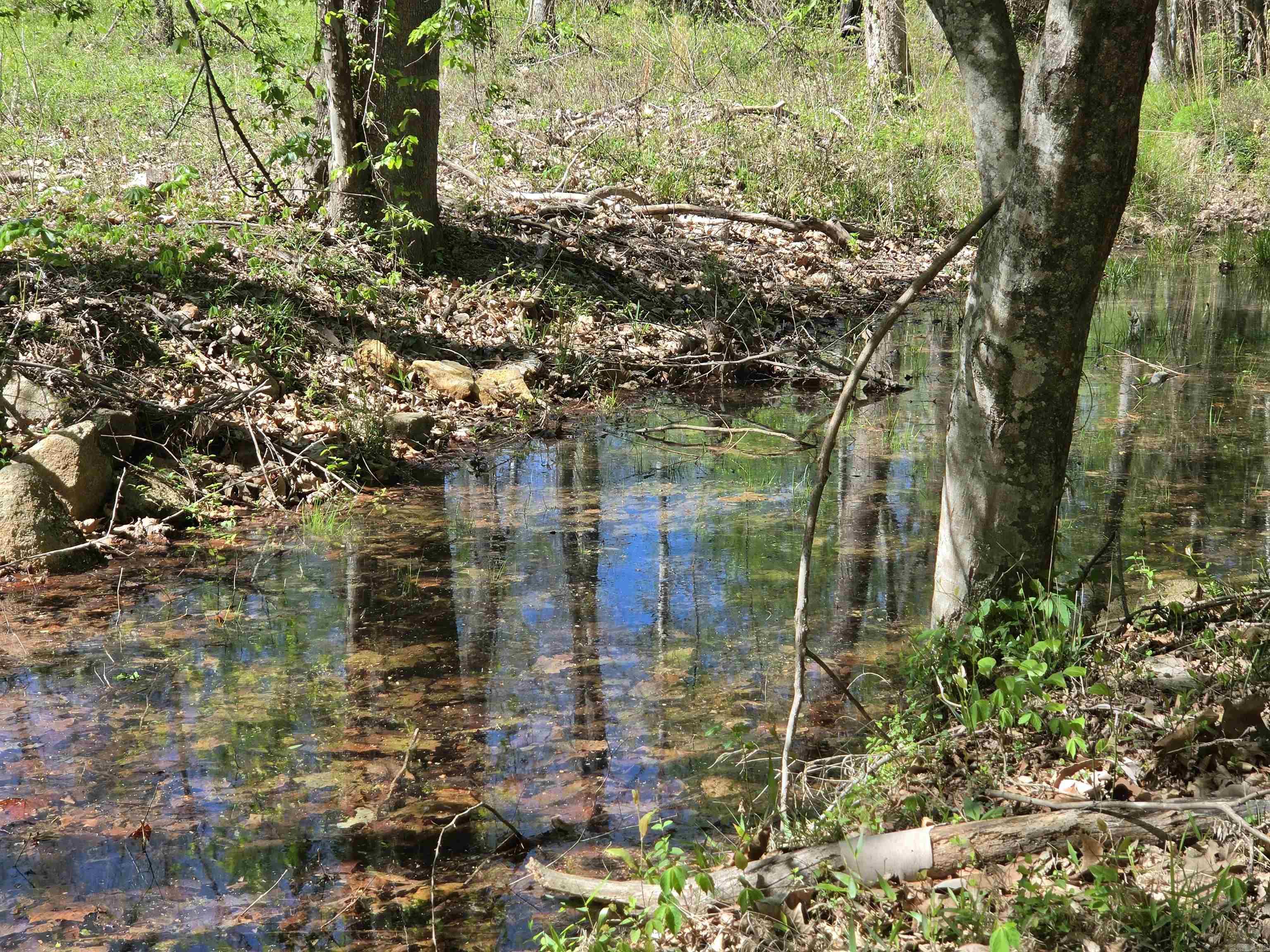 5 Acres of 2926 Bauxite Cutoff Road  Bauxite, AR