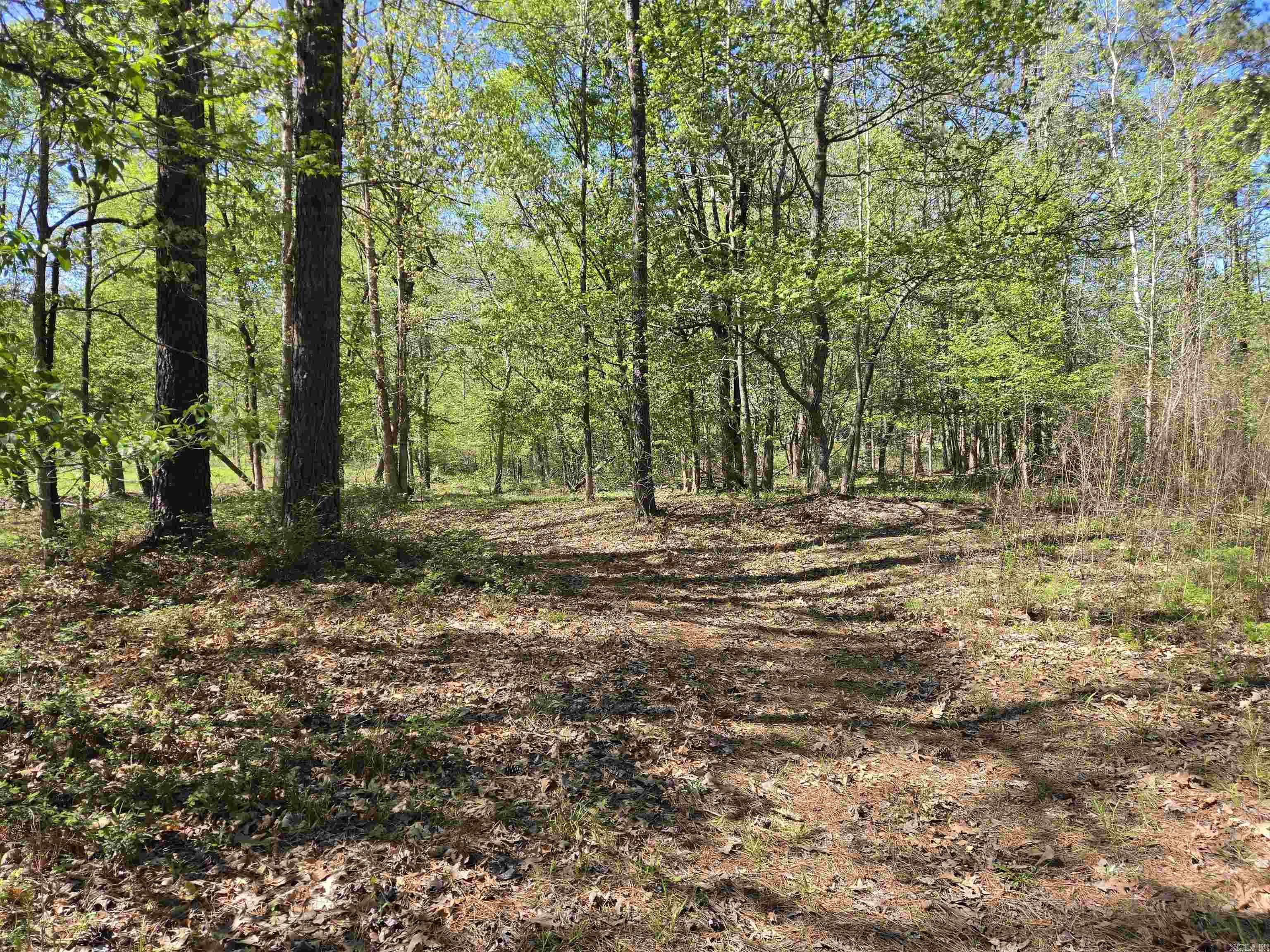5 Acres of 2926 Bauxite Cutoff Road  Bauxite, AR