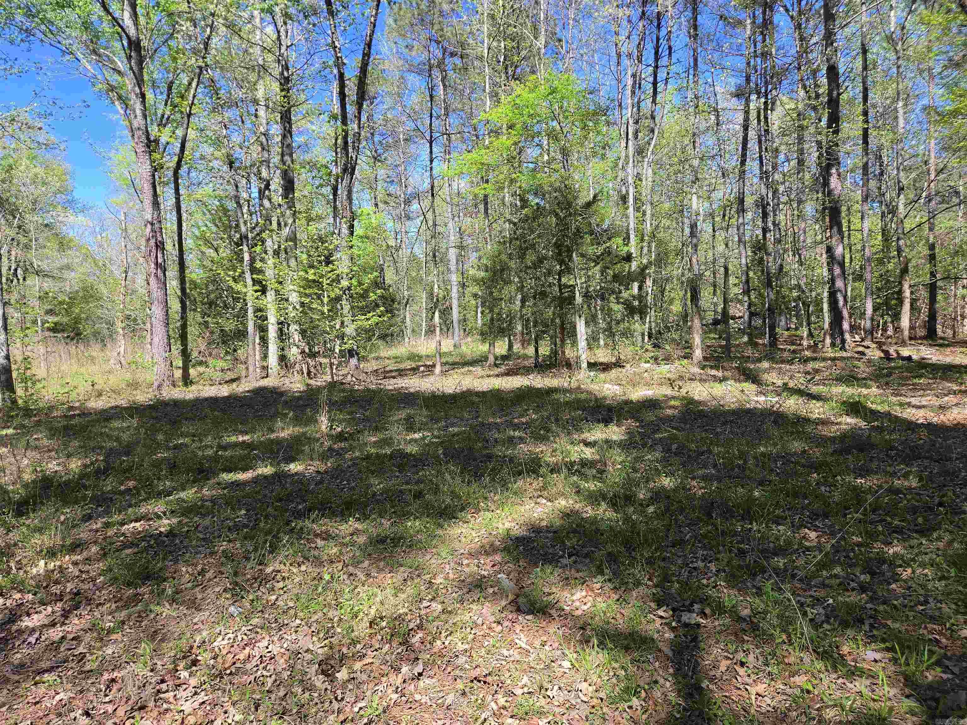 5 Acres of 2926 Bauxite Cutoff Road  Bauxite, AR