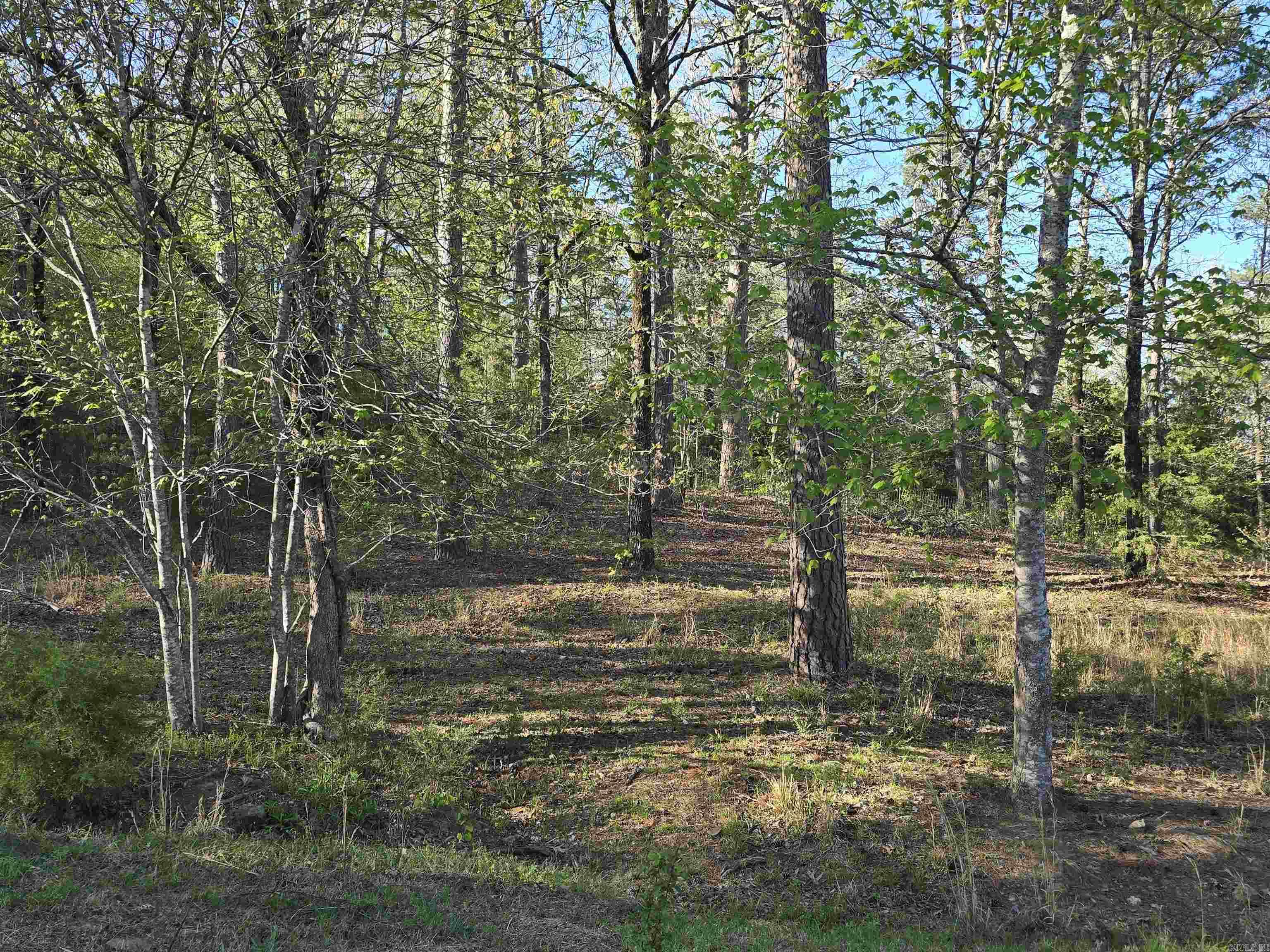 652 Red Hill  Searcy, AR