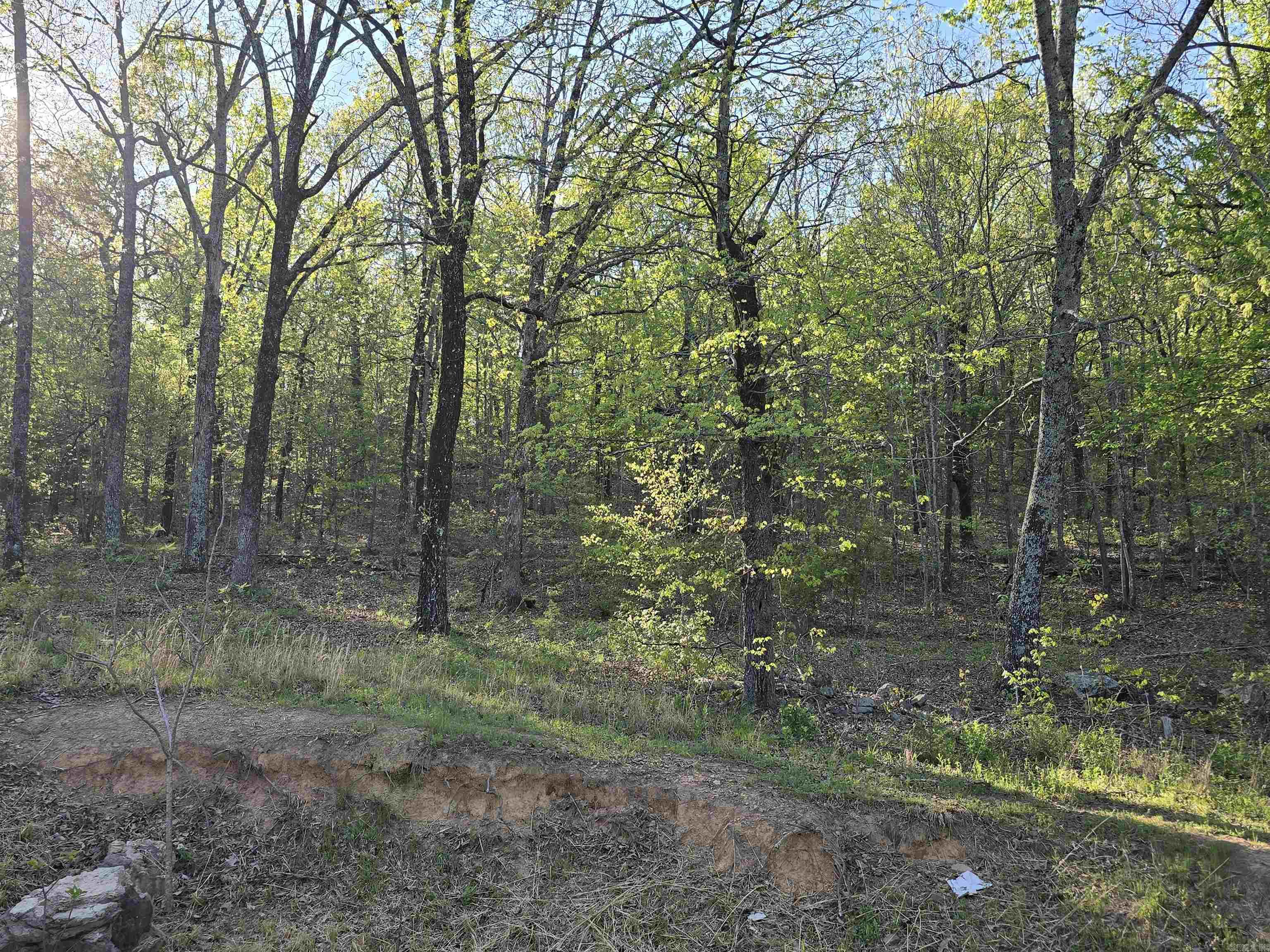 652 Red Hill  Searcy, AR