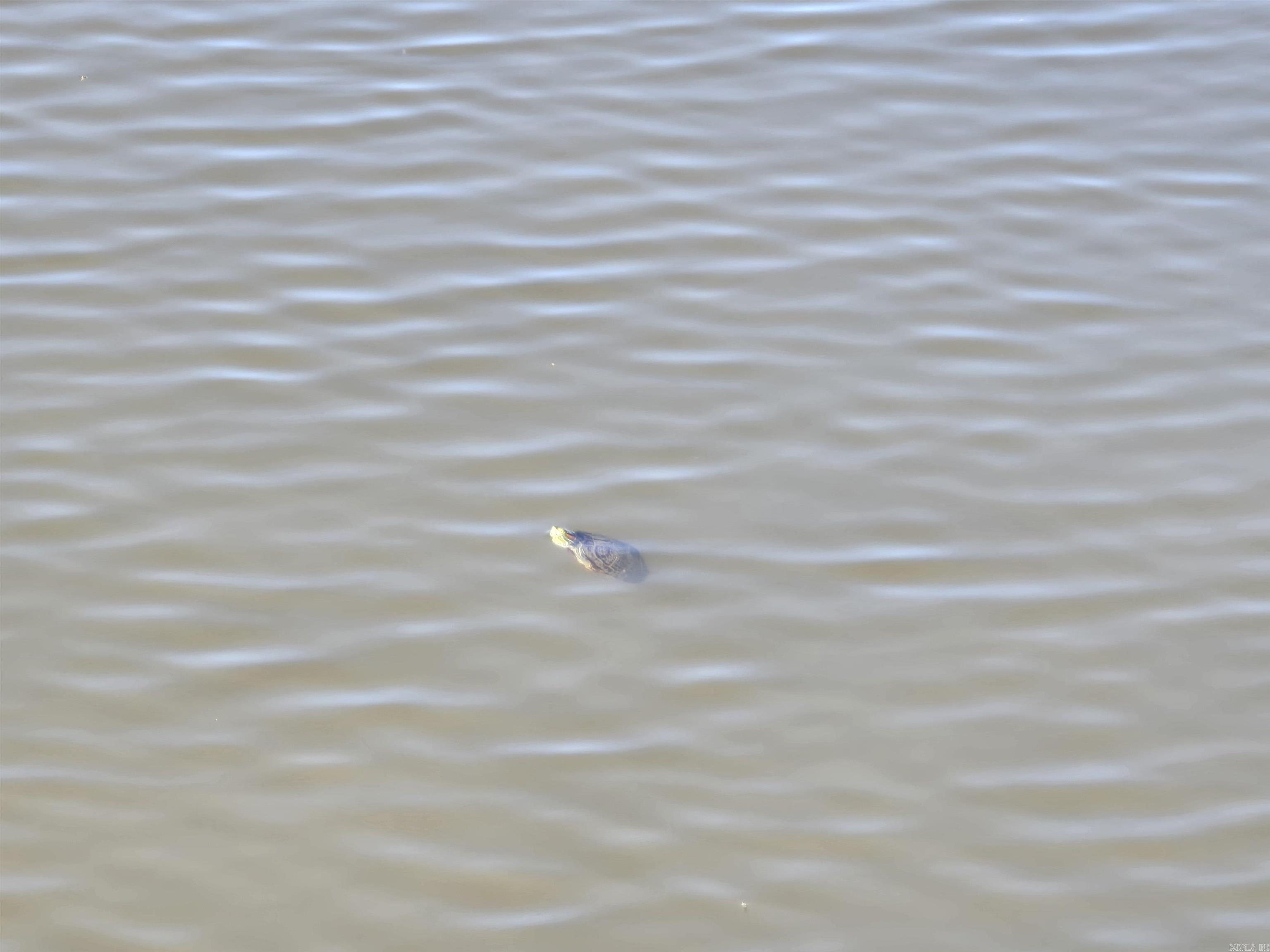 652 Red Hill  Searcy, AR