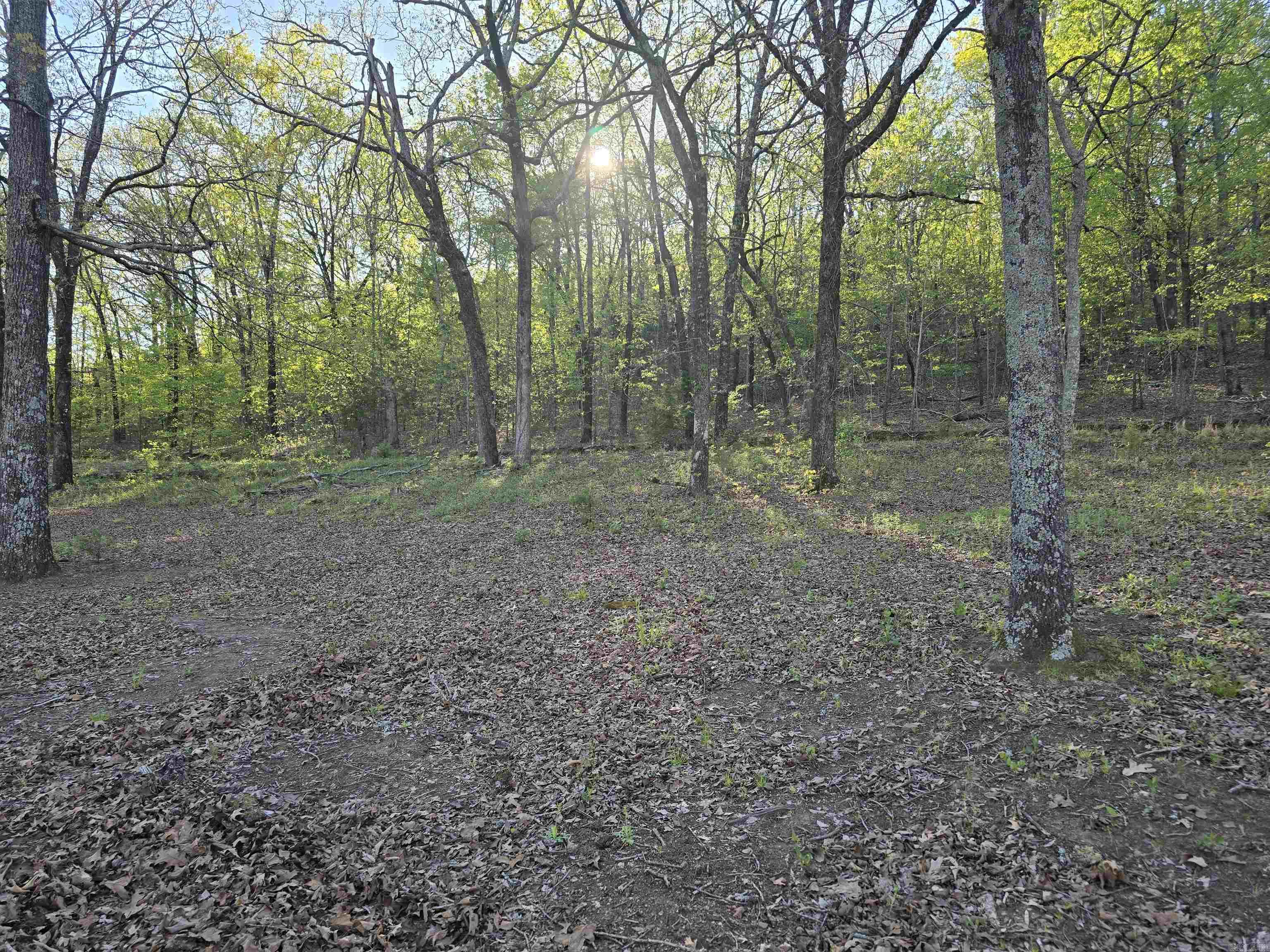 652 Red Hill  Searcy, AR