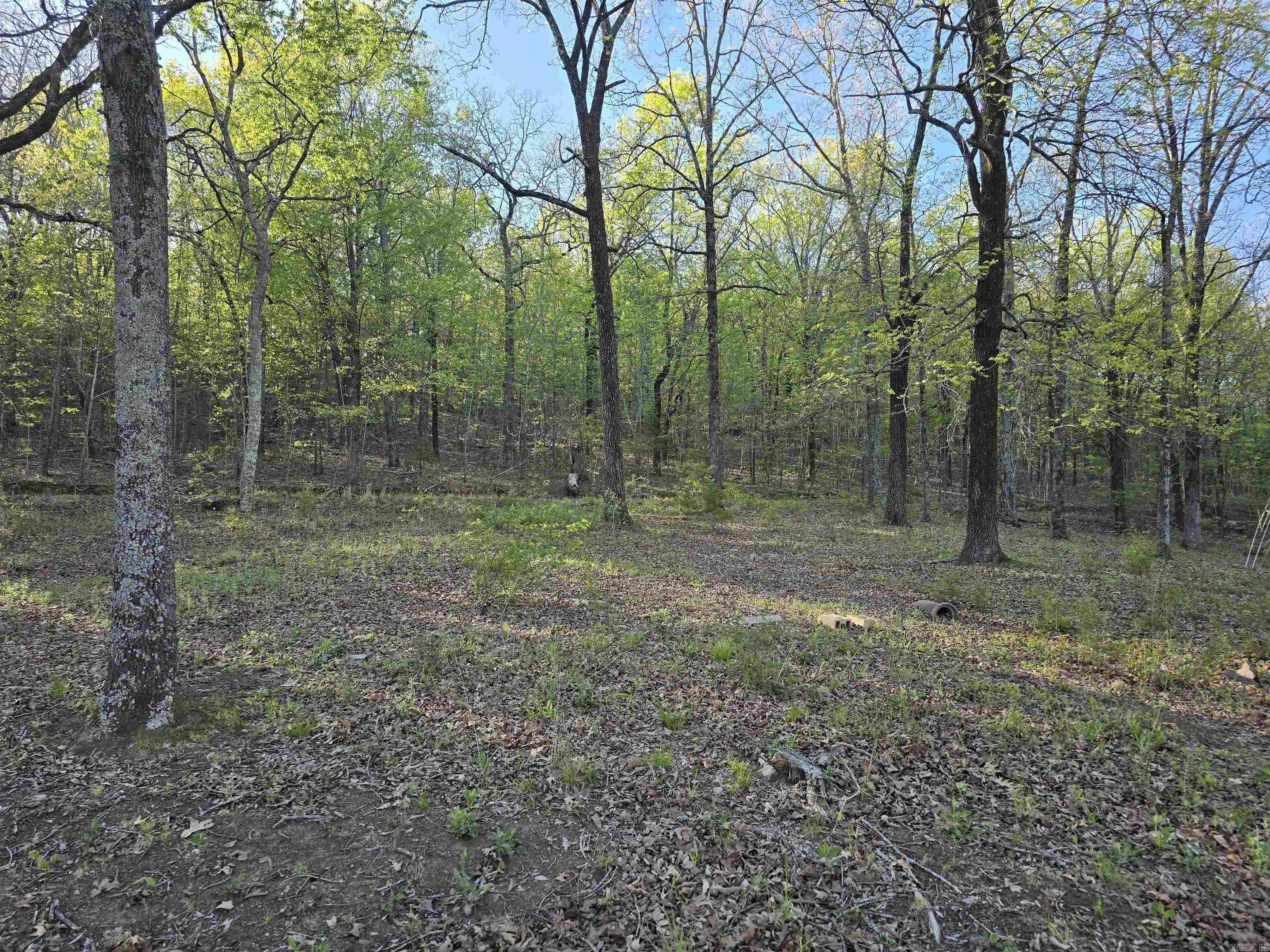 652 Red Hill  Searcy, AR