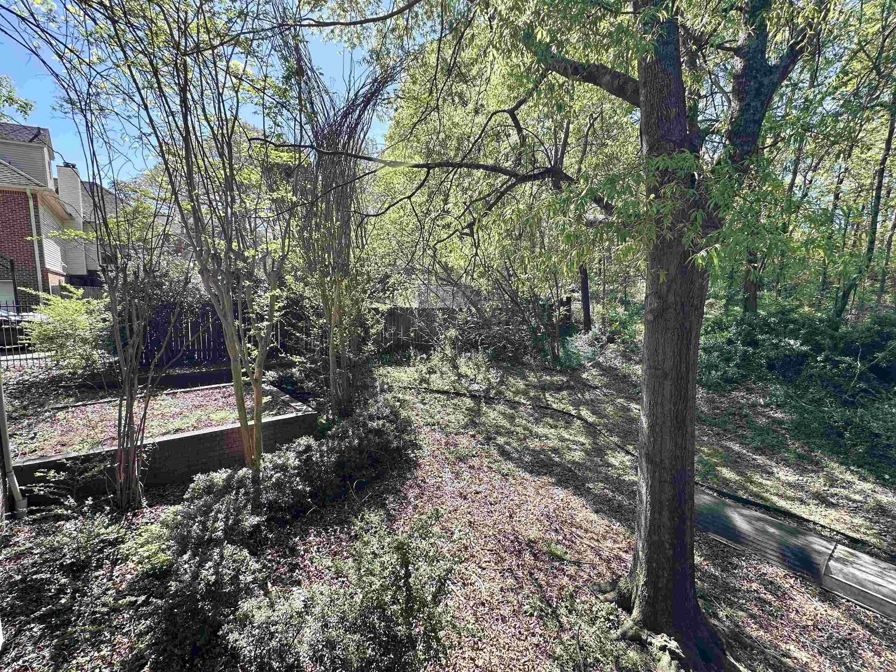 2307 Morningside  Jonesboro, AR