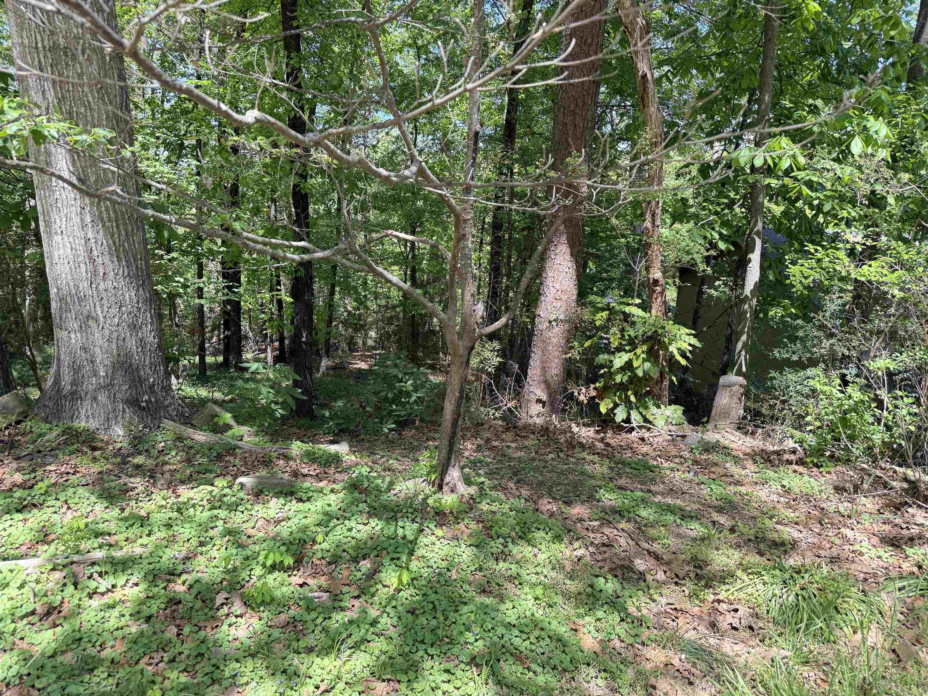 000 Foxhunt Trail Lot  Little Rock, AR