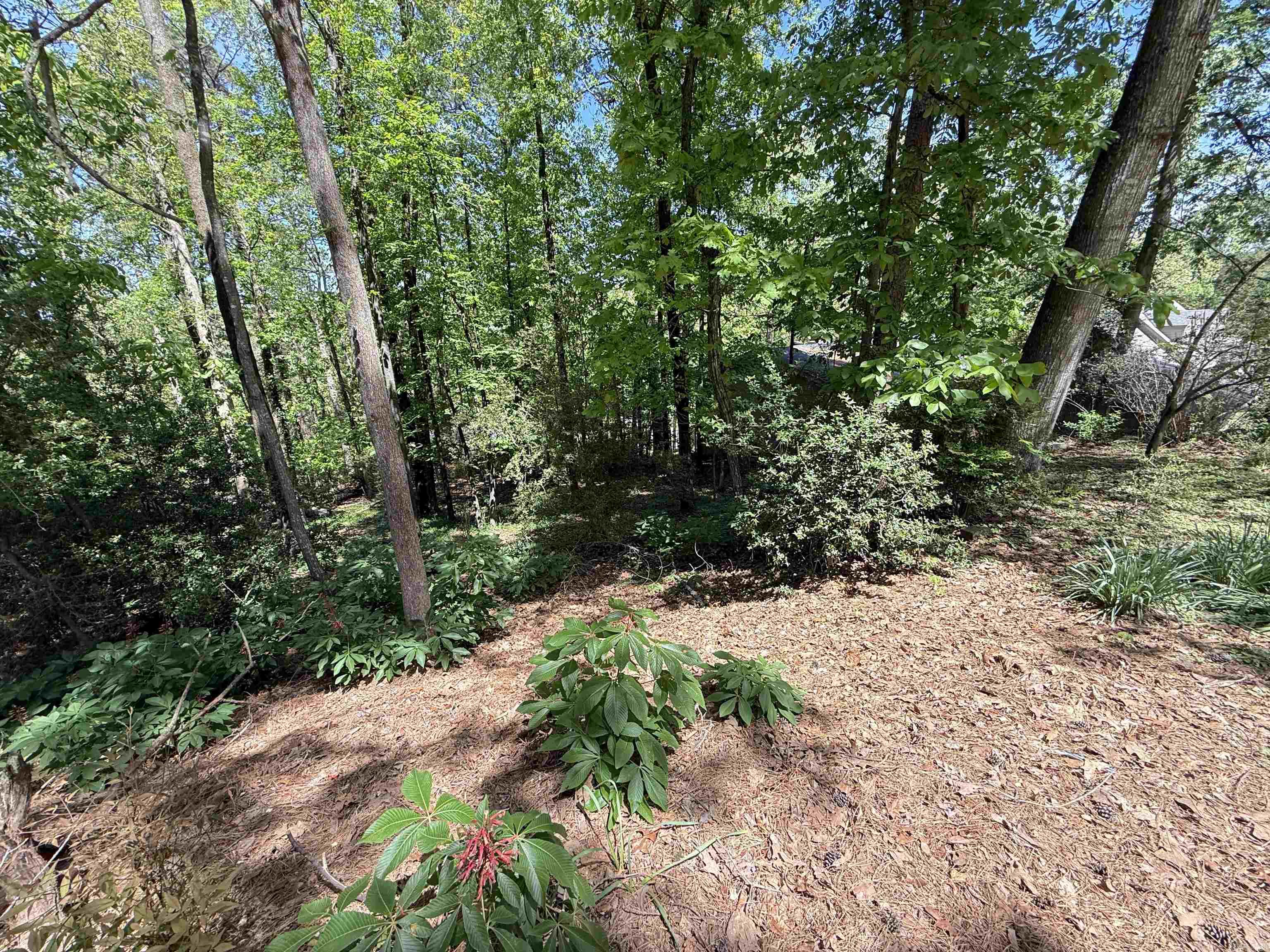 000 Foxhunt Trail Lot  Little Rock, AR