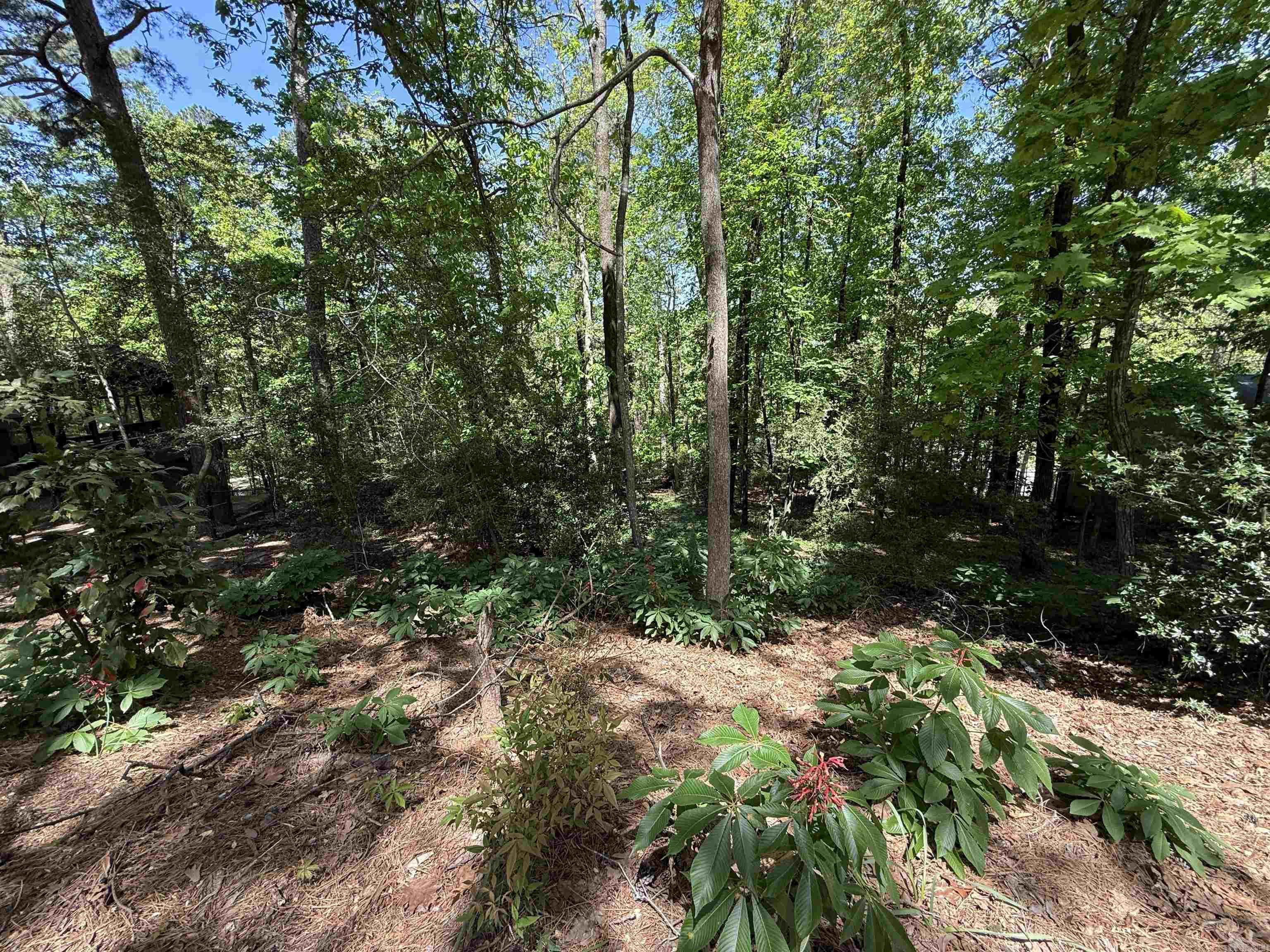 000 Foxhunt Trail Lot  Little Rock, AR