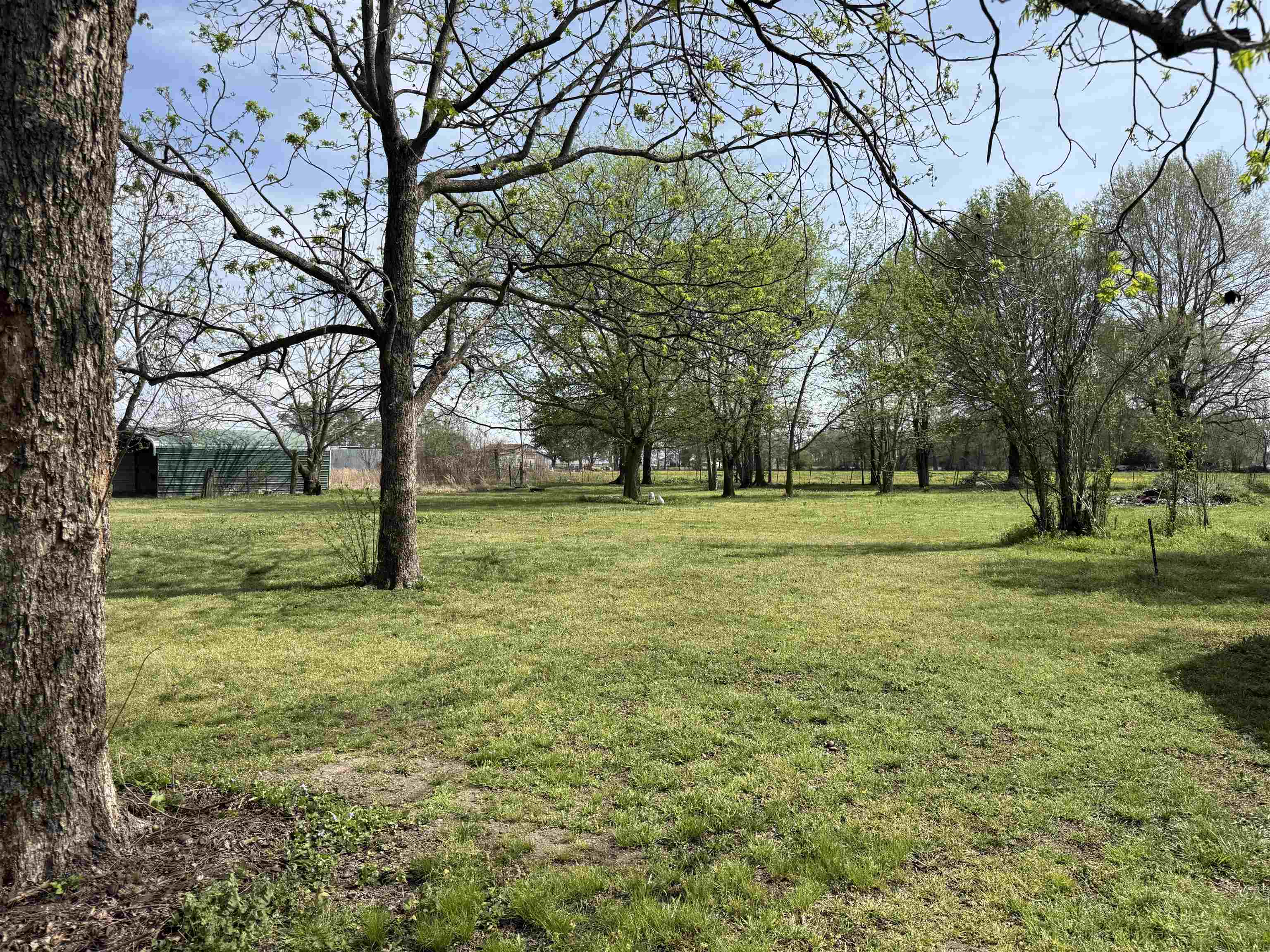 147 CR 239  Corning, AR