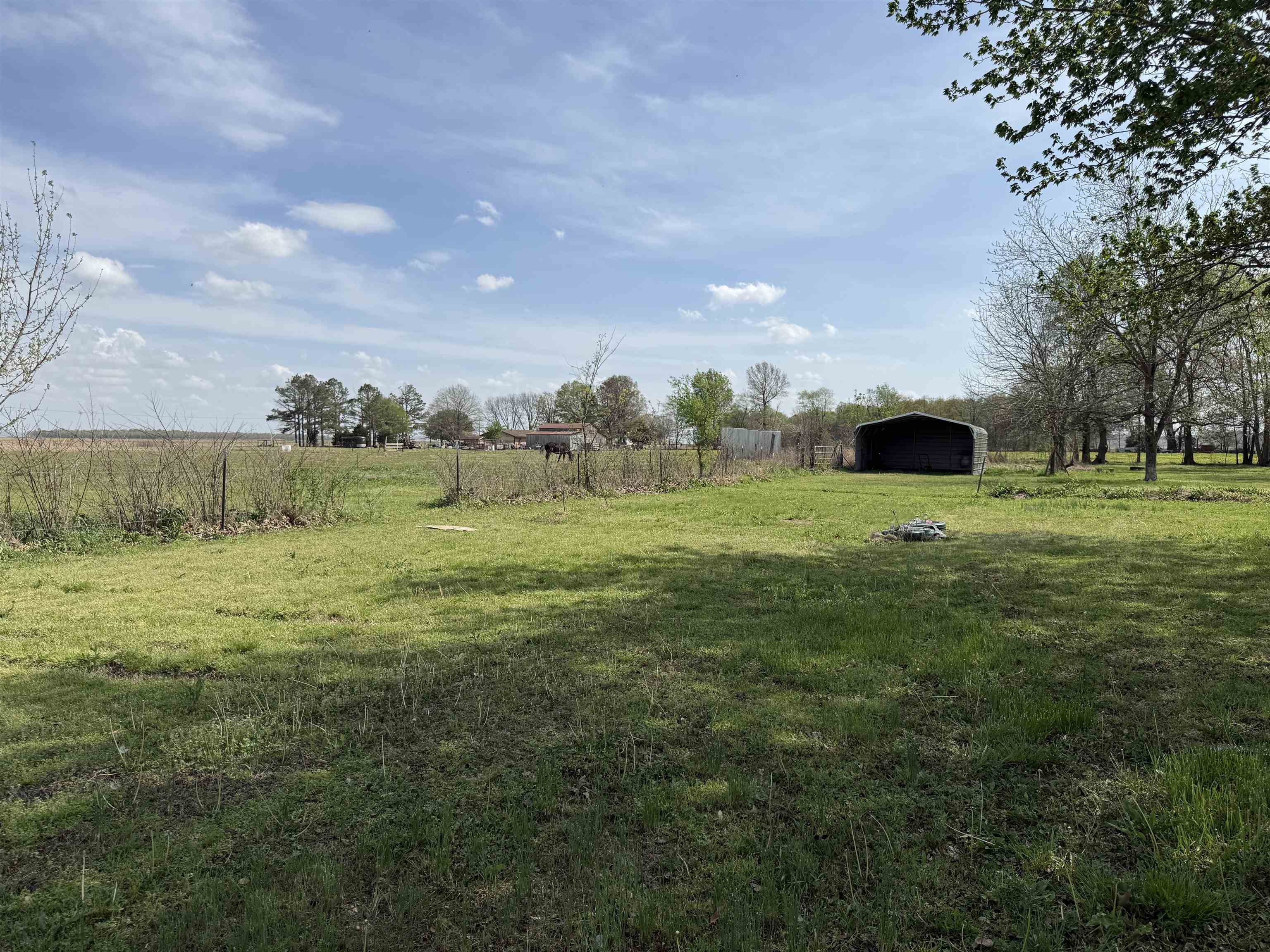 147 CR 239  Corning, AR