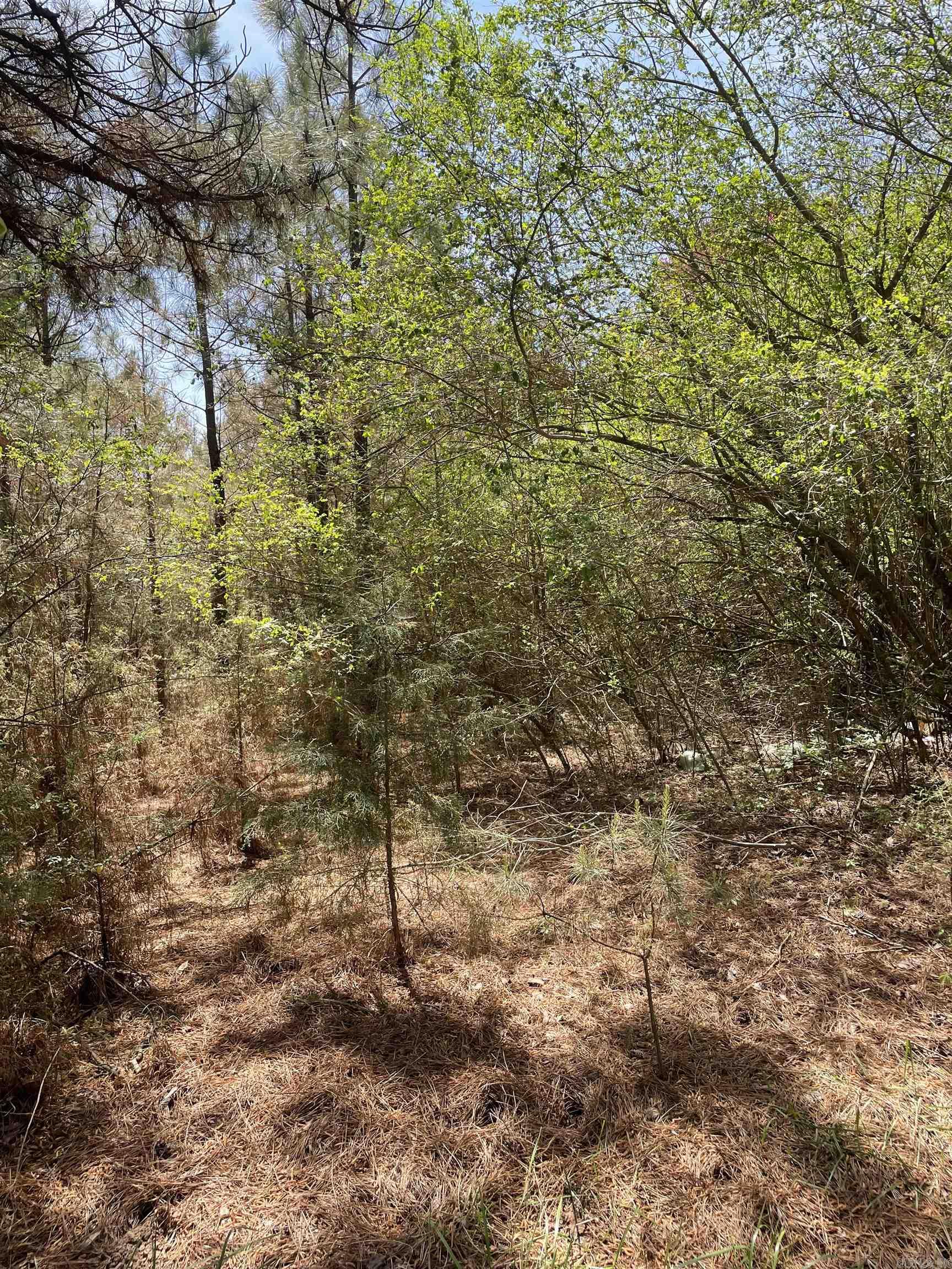 1 Claude School House  Cleveland, AR