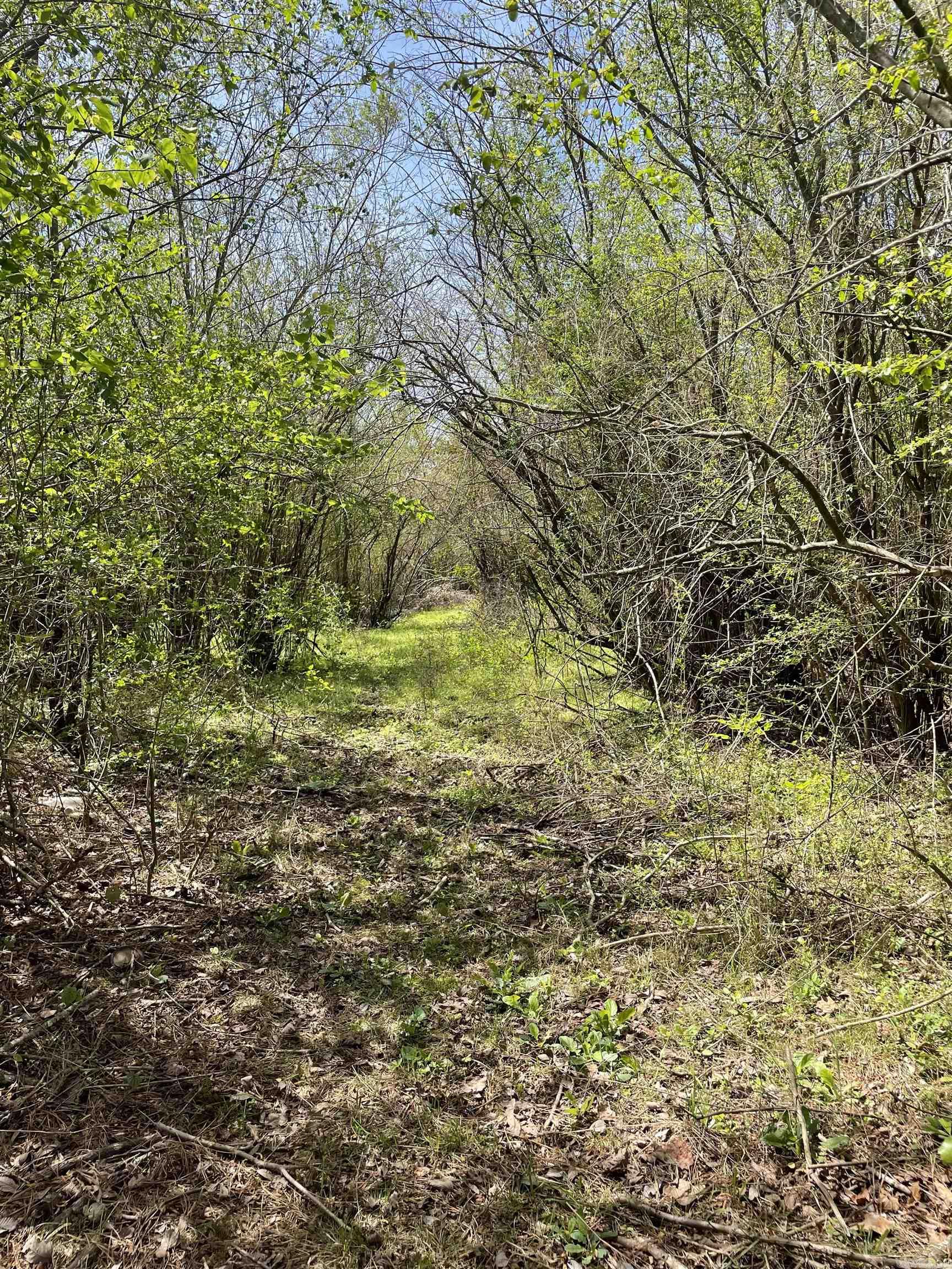 1 Claude School House  Cleveland, AR