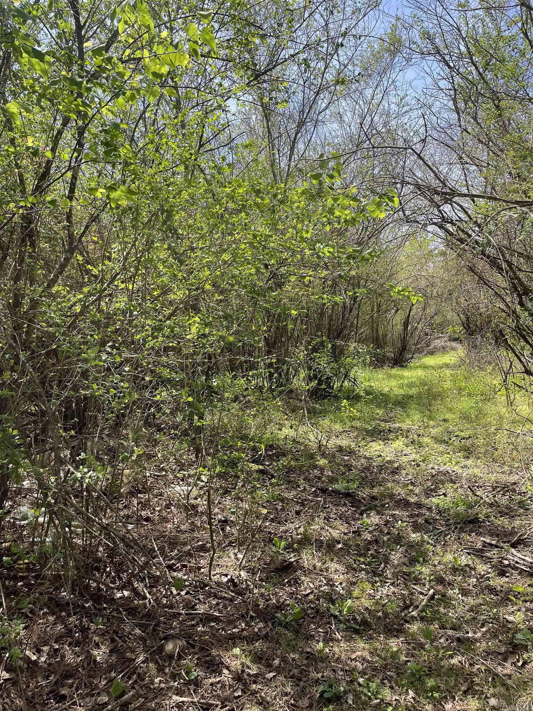 1 Claude School House  Cleveland, AR