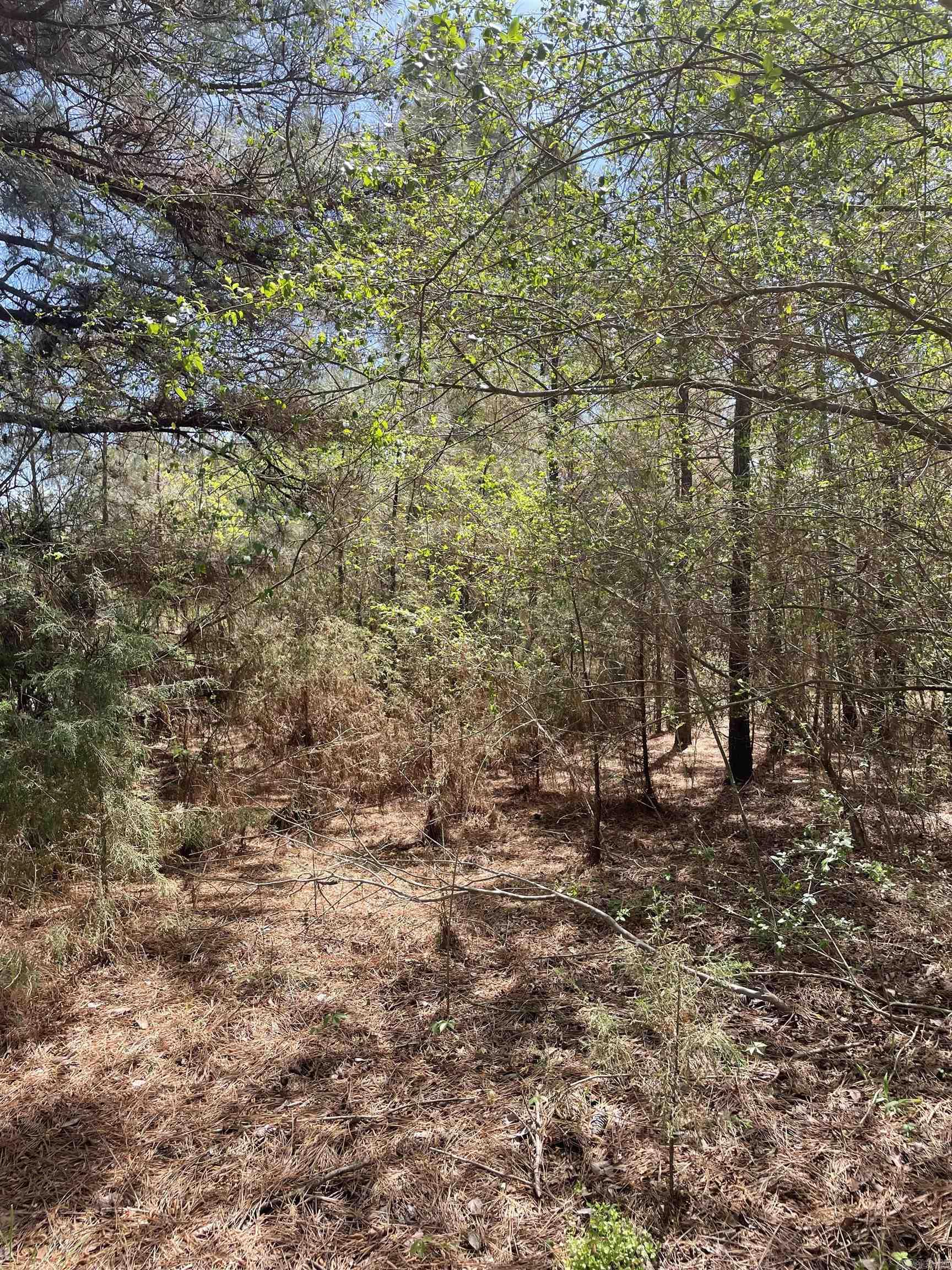 1 Claude School House  Cleveland, AR