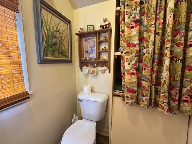 21 Riverview  Hardy, AR