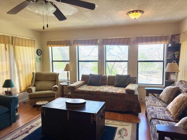 21 Riverview  Hardy, AR