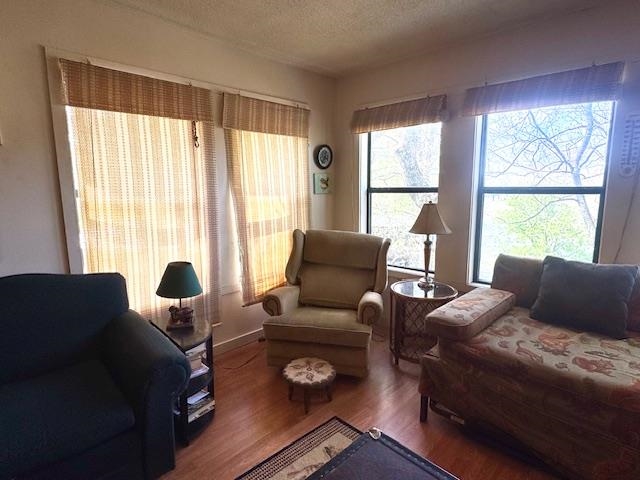 21 Riverview  Hardy, AR