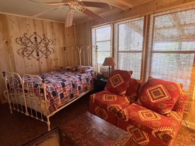 21 Riverview  Hardy, AR