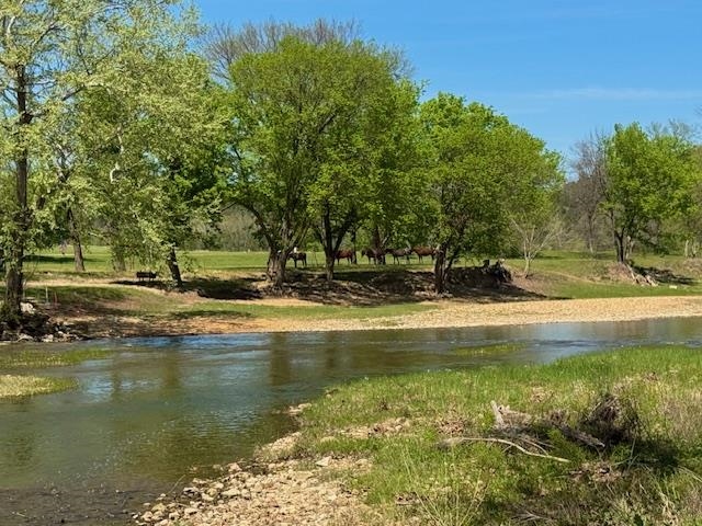 21 Riverview  Hardy, AR