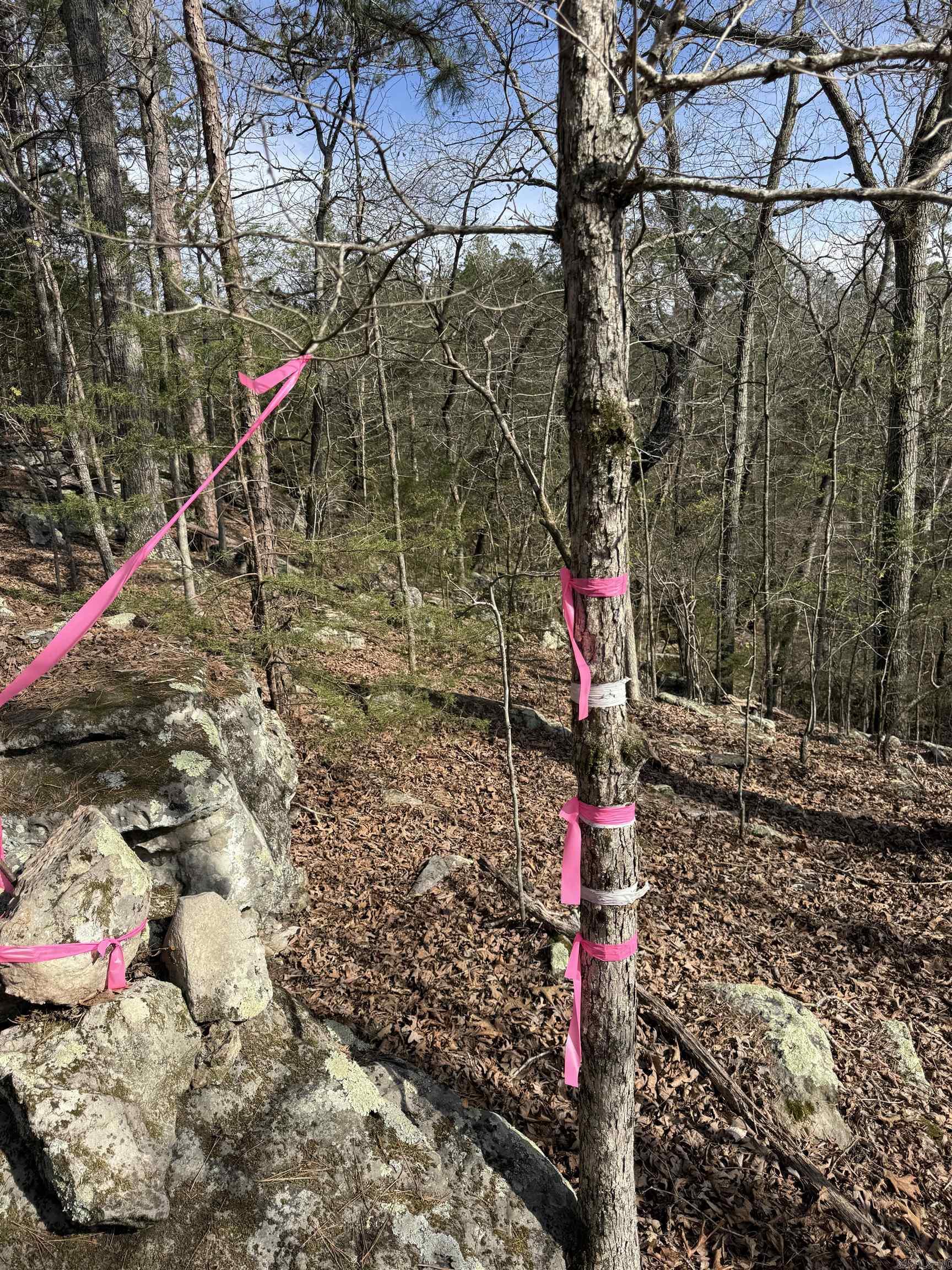 0000 Cool Water Retreat  Mountain View, AR