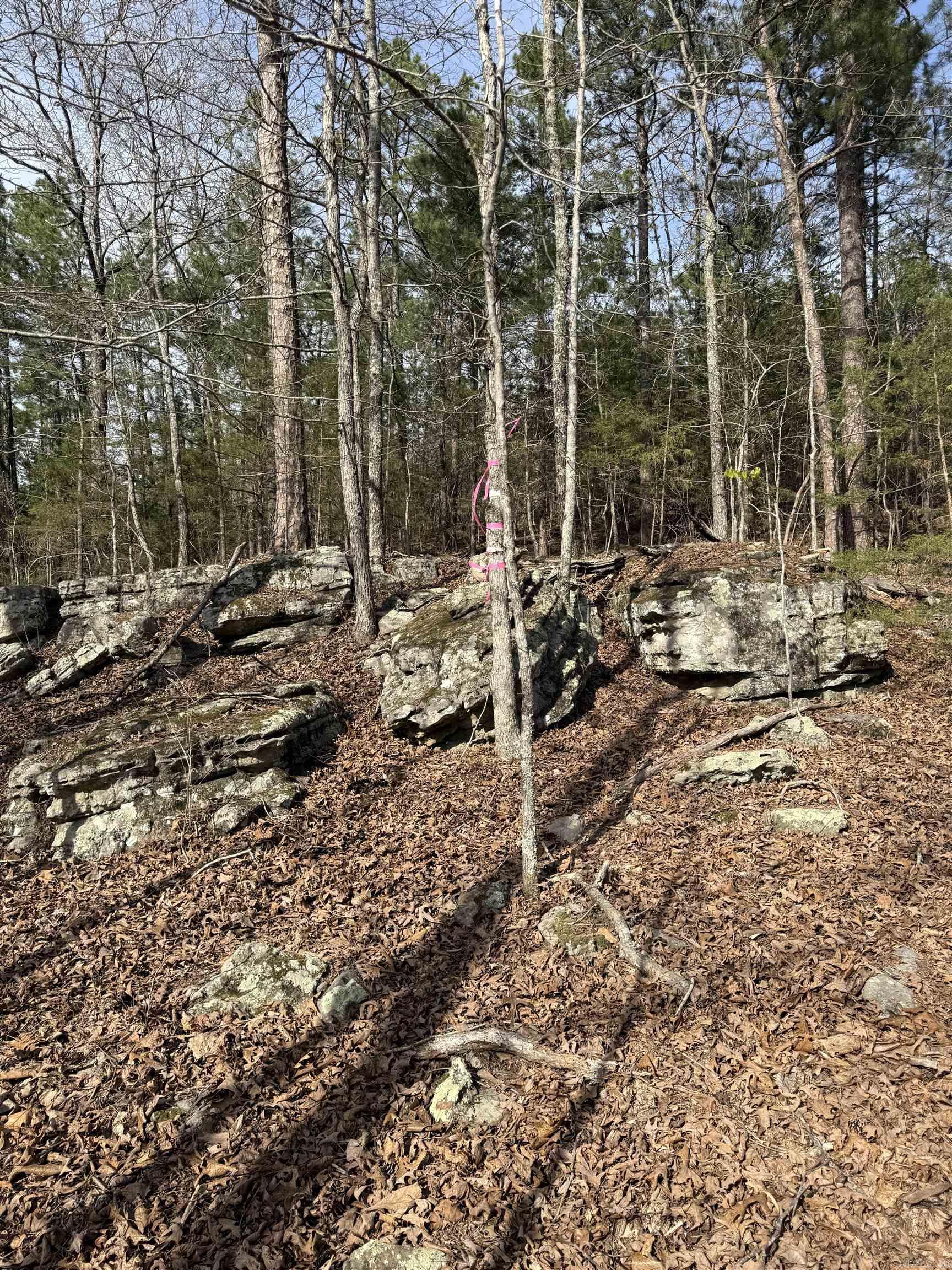 0000 Cool Water Retreat  Mountain View, AR