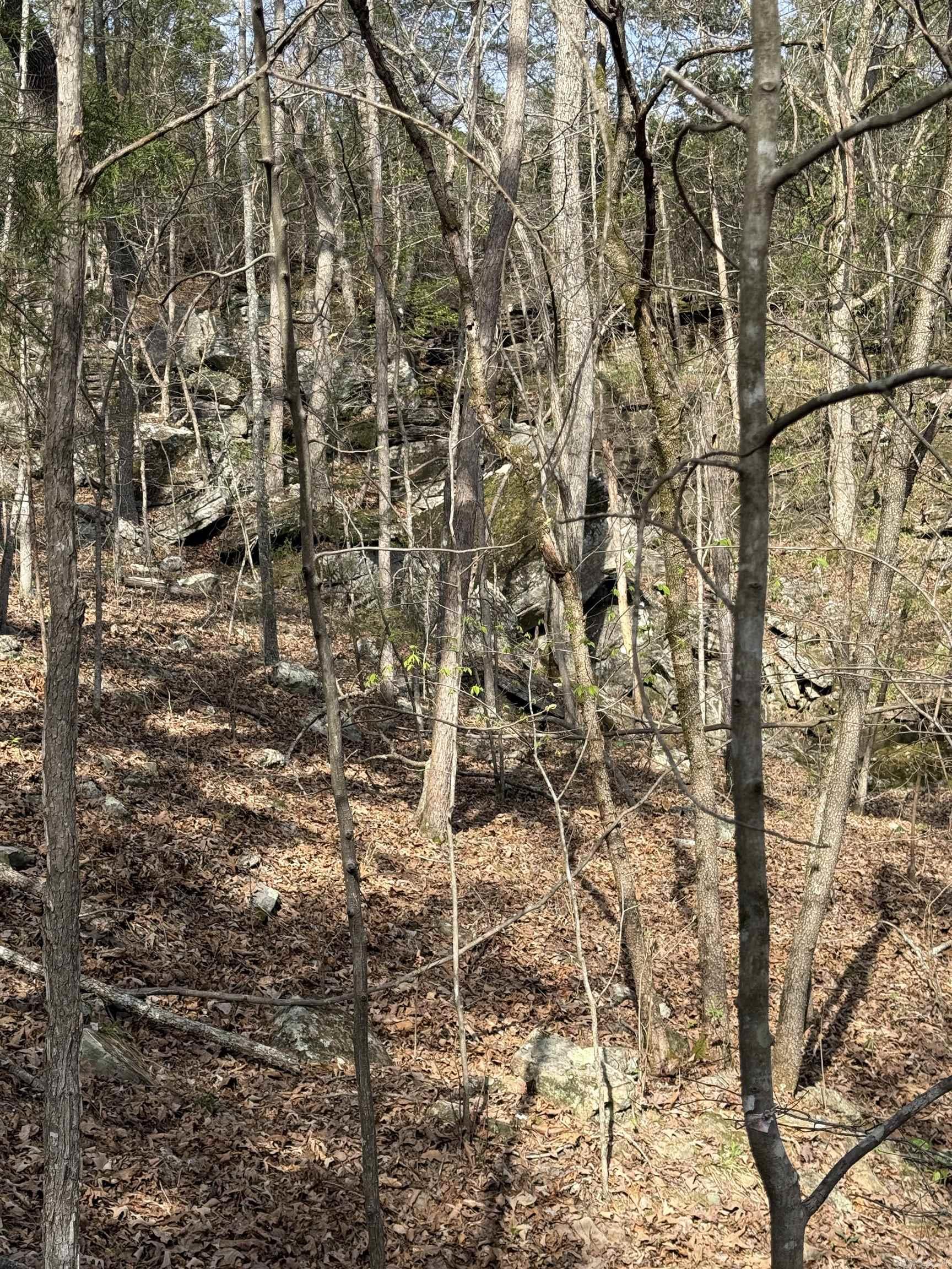 0000 Cool Water Retreat  Mountain View, AR