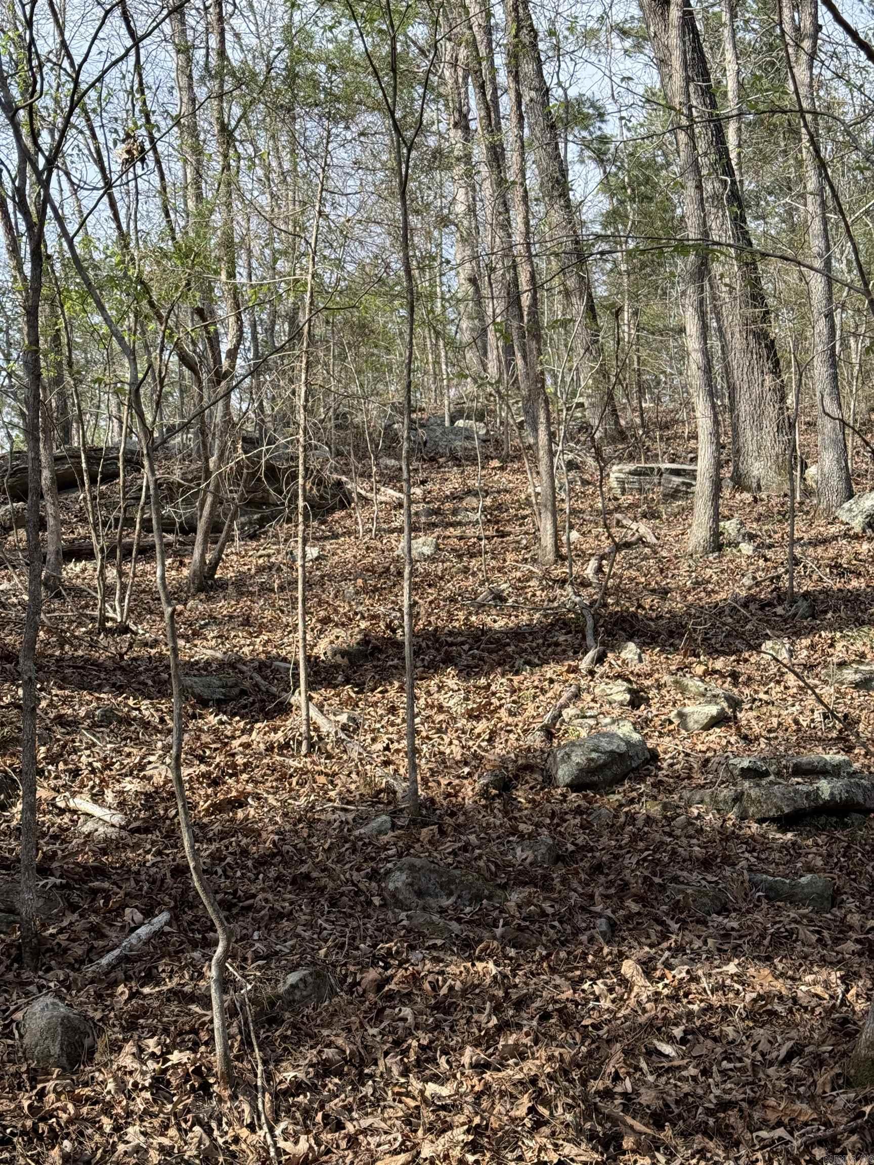 0000 Cool Water Retreat  Mountain View, AR