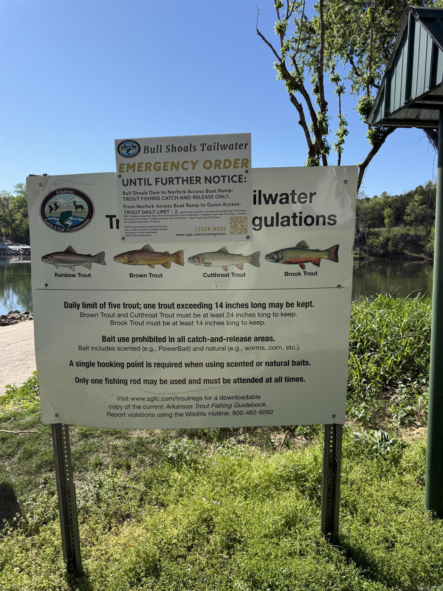 0000 Cool Water Retreat  Mountain View, AR