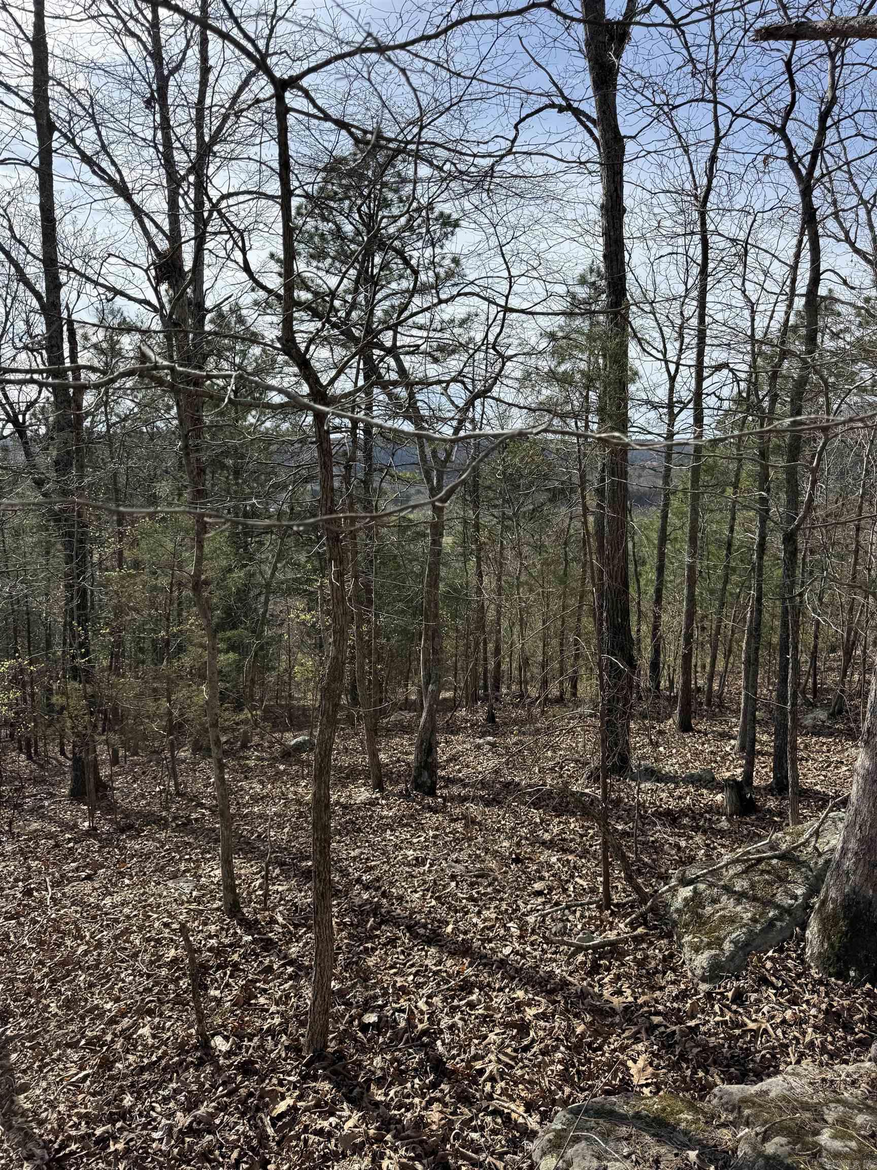 0000 Cool Water Retreat  Mountain View, AR