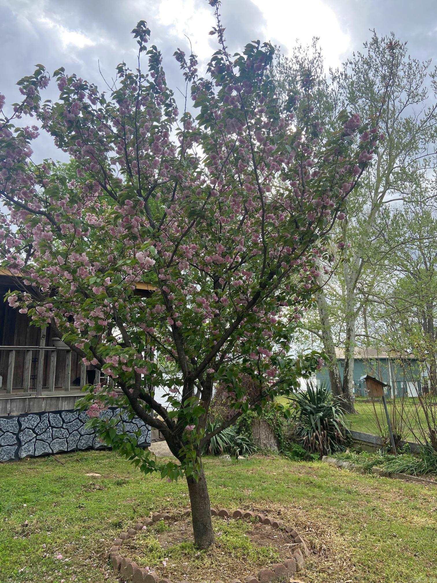 3115 Riverside  White Hall, AR