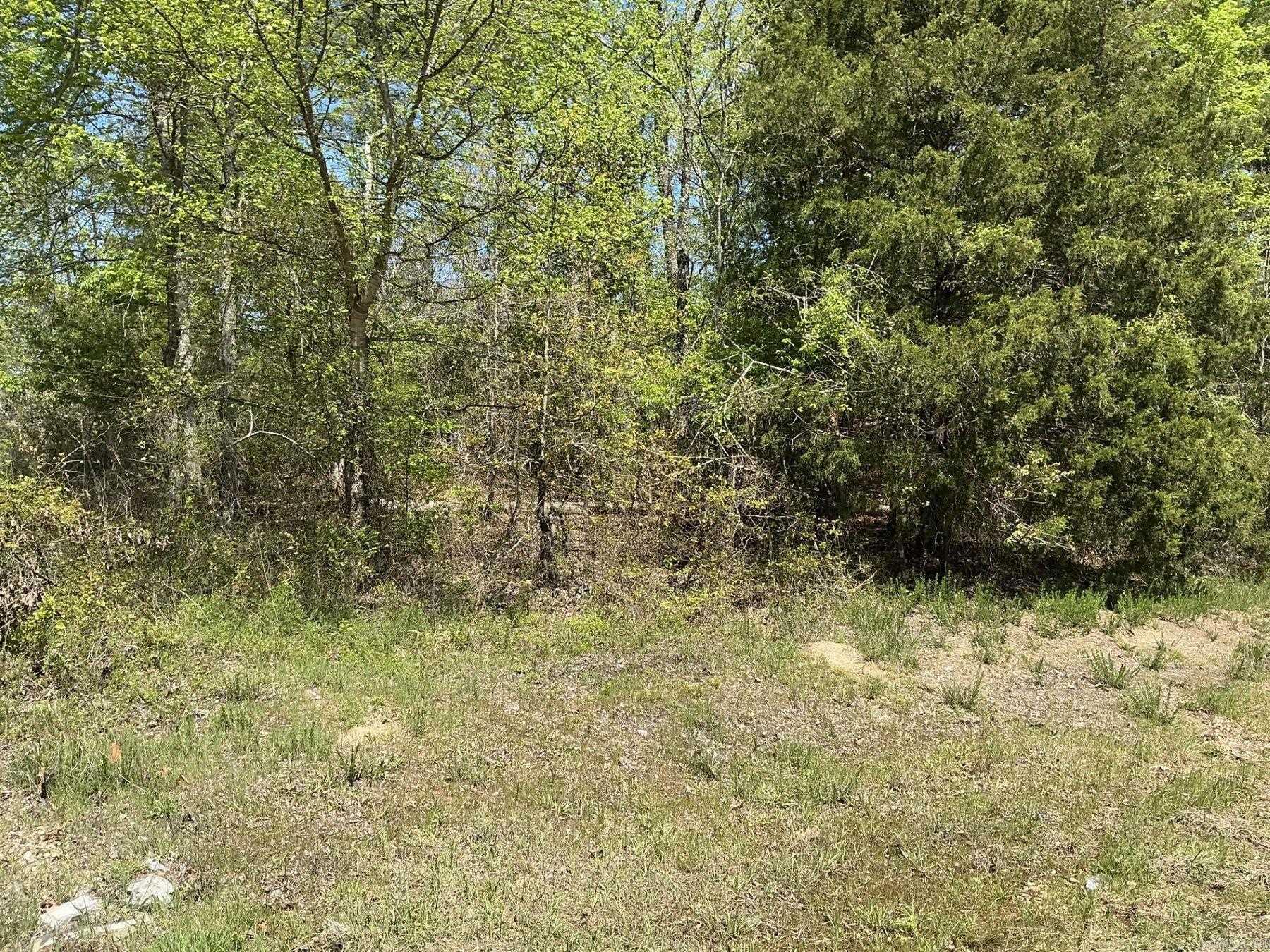 192 Elcano Drive  Hot Springs Village, AR