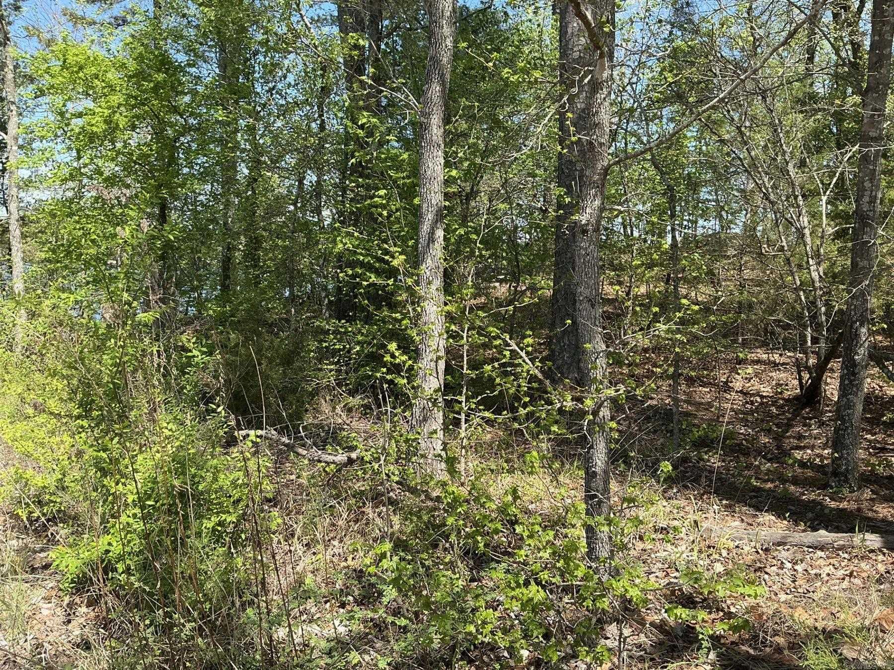 192 Elcano Drive  Hot Springs Village, AR