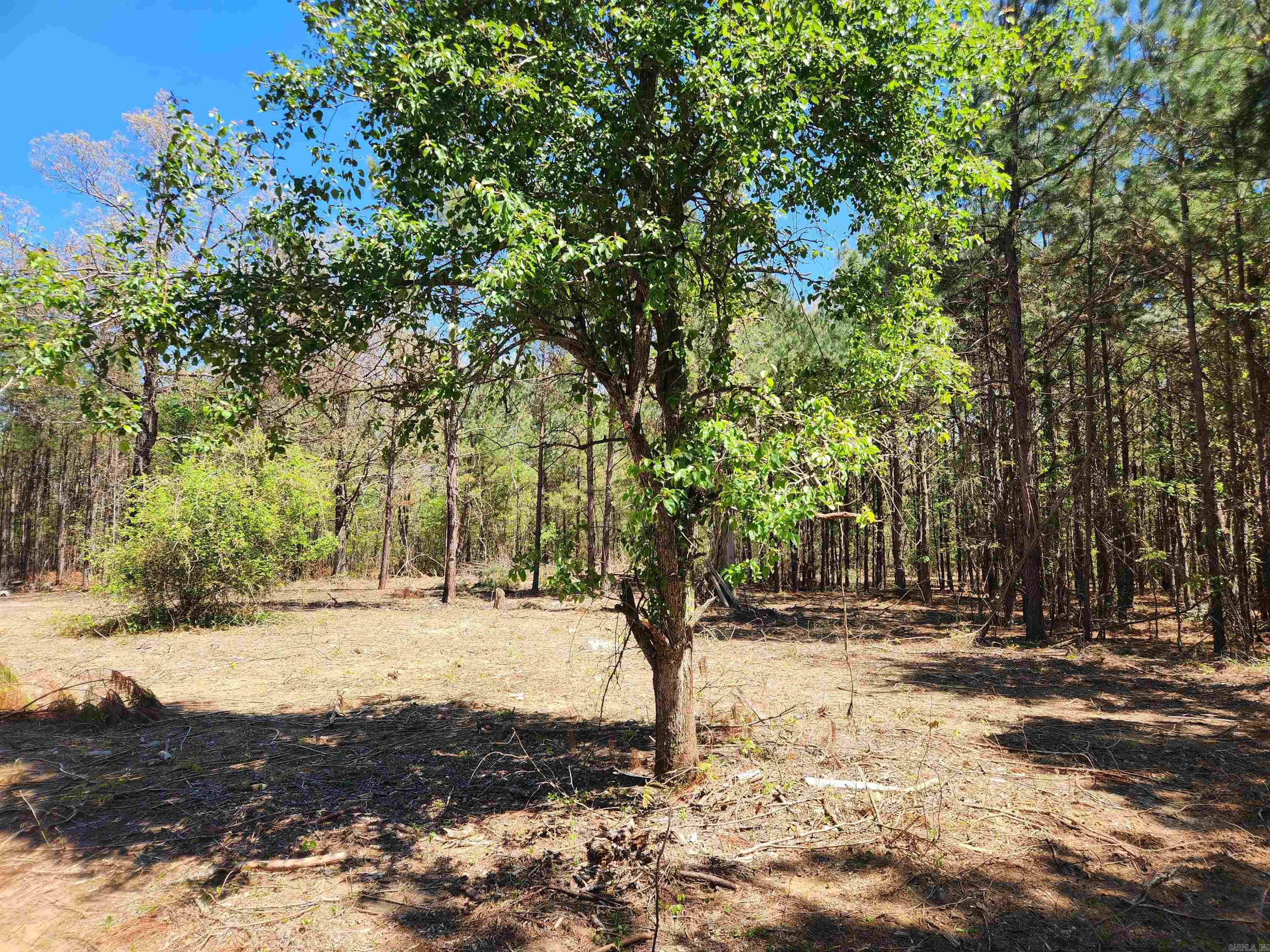 13000 W 54  Pine Bluff, AR