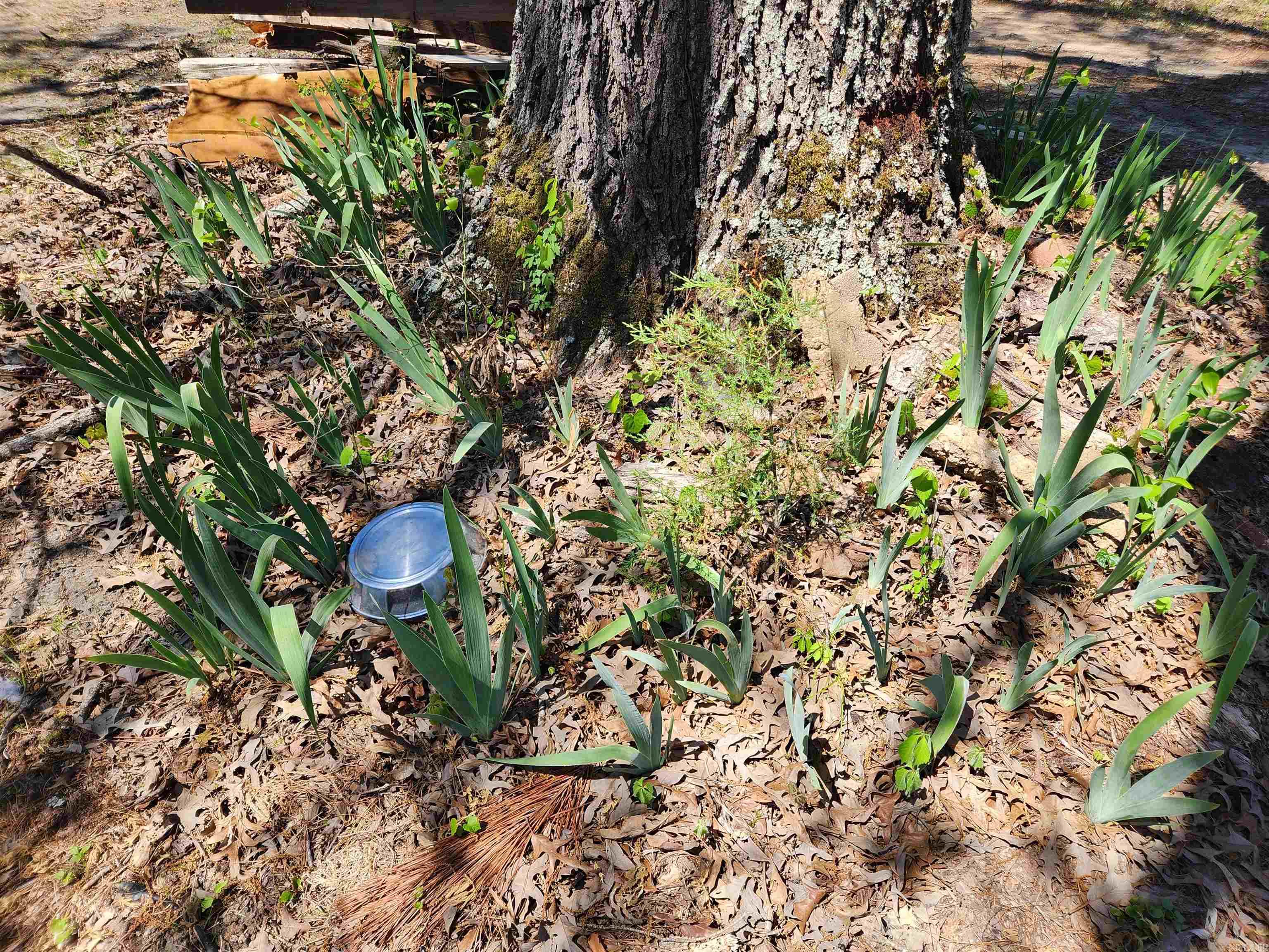 13000 W 54  Pine Bluff, AR