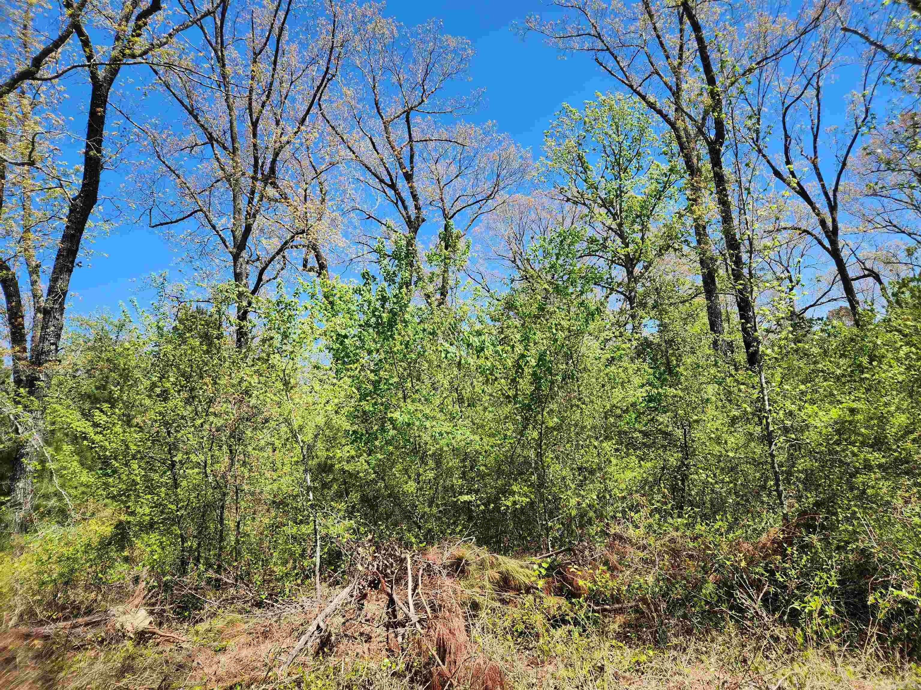 13000 W 54  Pine Bluff, AR