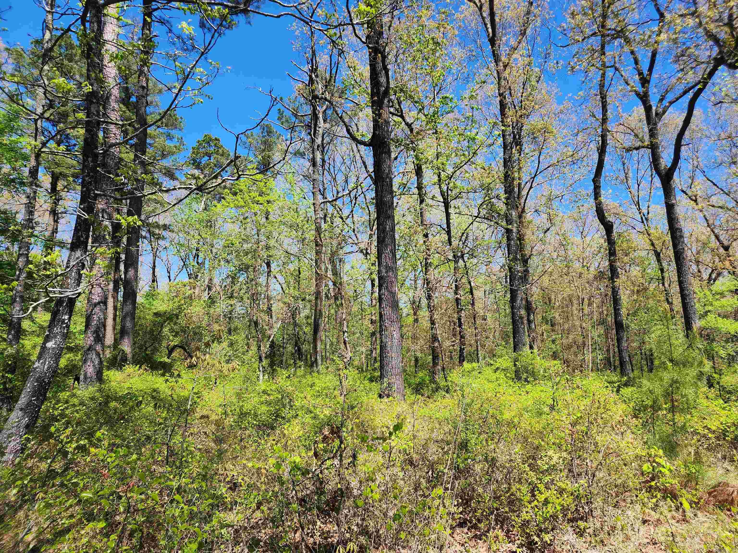 13000 W 54  Pine Bluff, AR