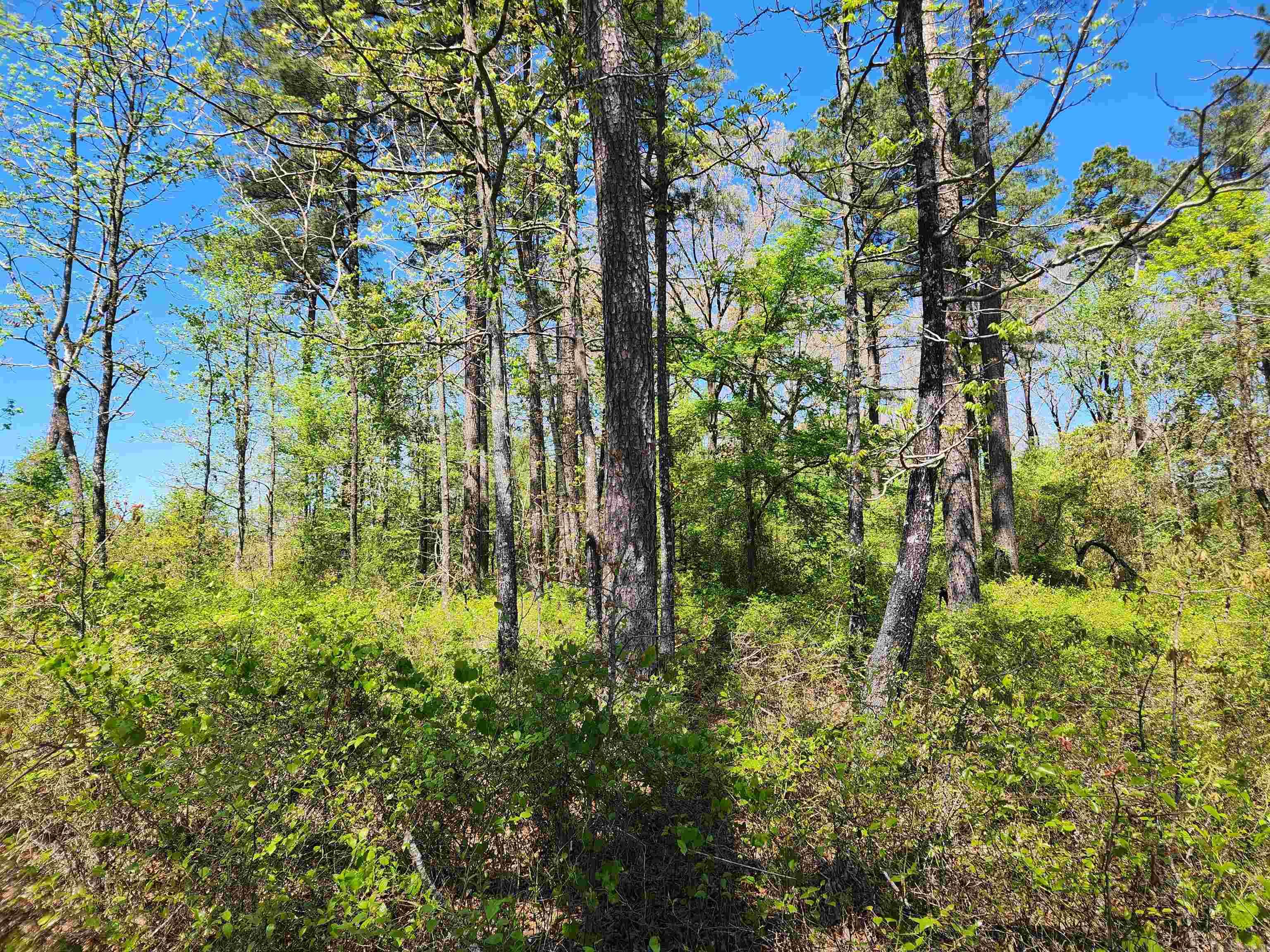 13000 W 54  Pine Bluff, AR