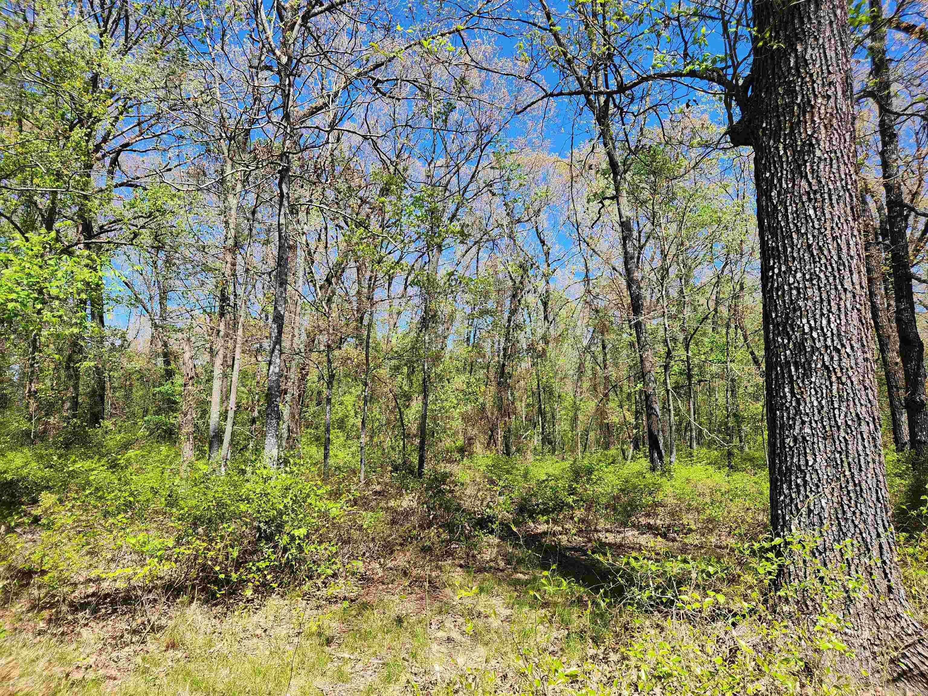 13000 W 54  Pine Bluff, AR