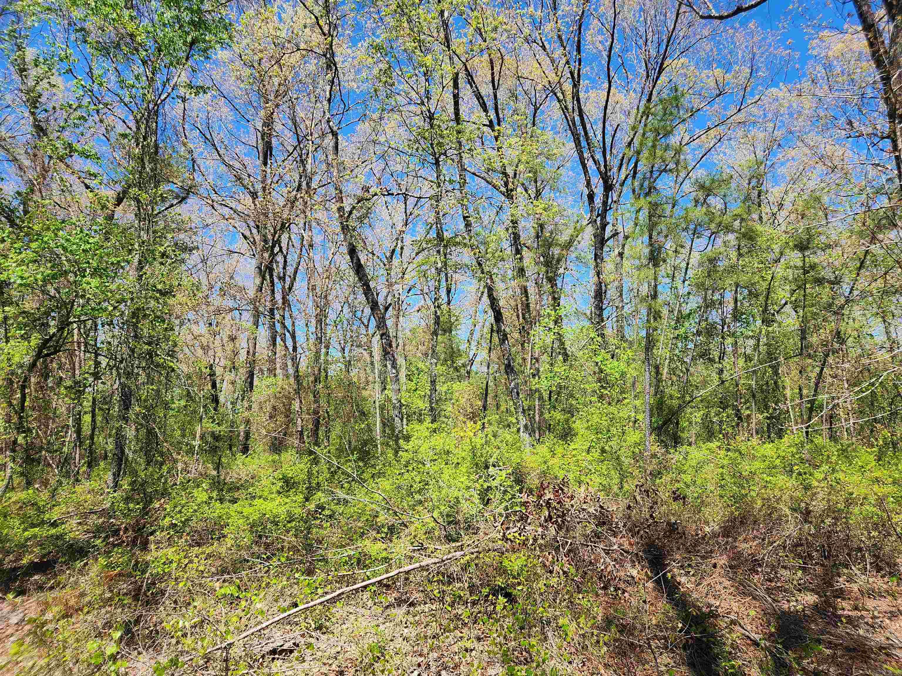 13000 W 54  Pine Bluff, AR