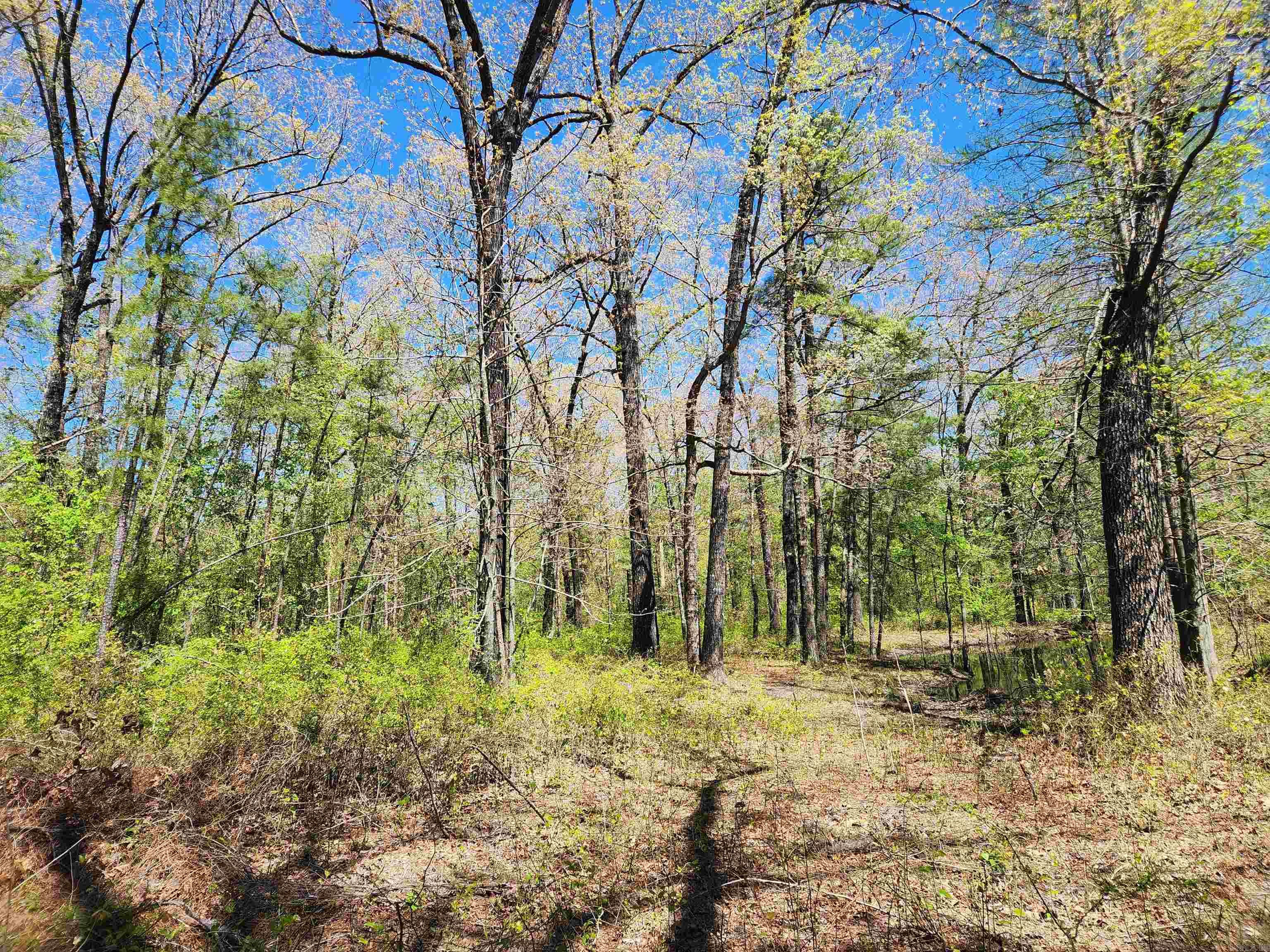 13000 W 54  Pine Bluff, AR