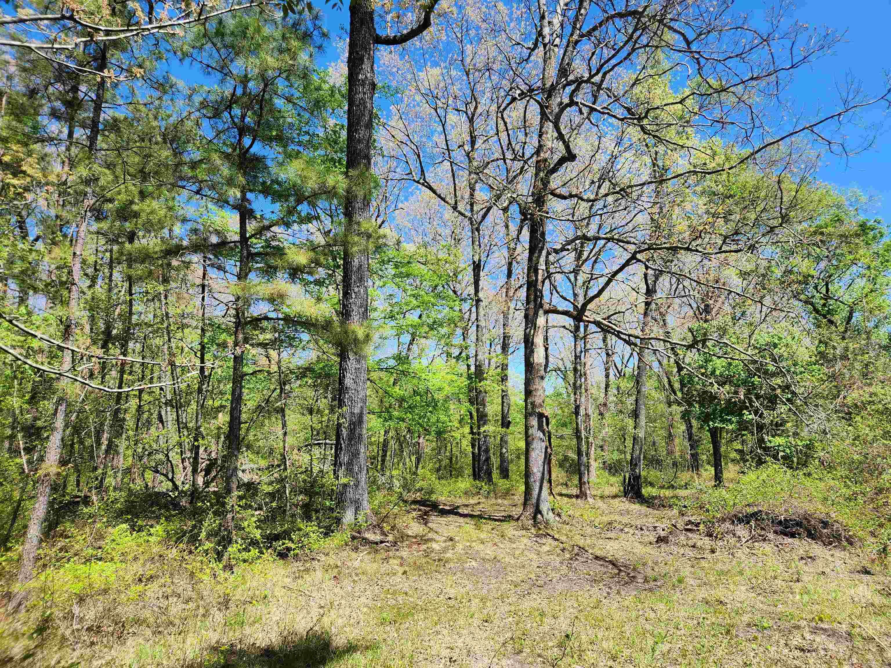 13000 W 54  Pine Bluff, AR