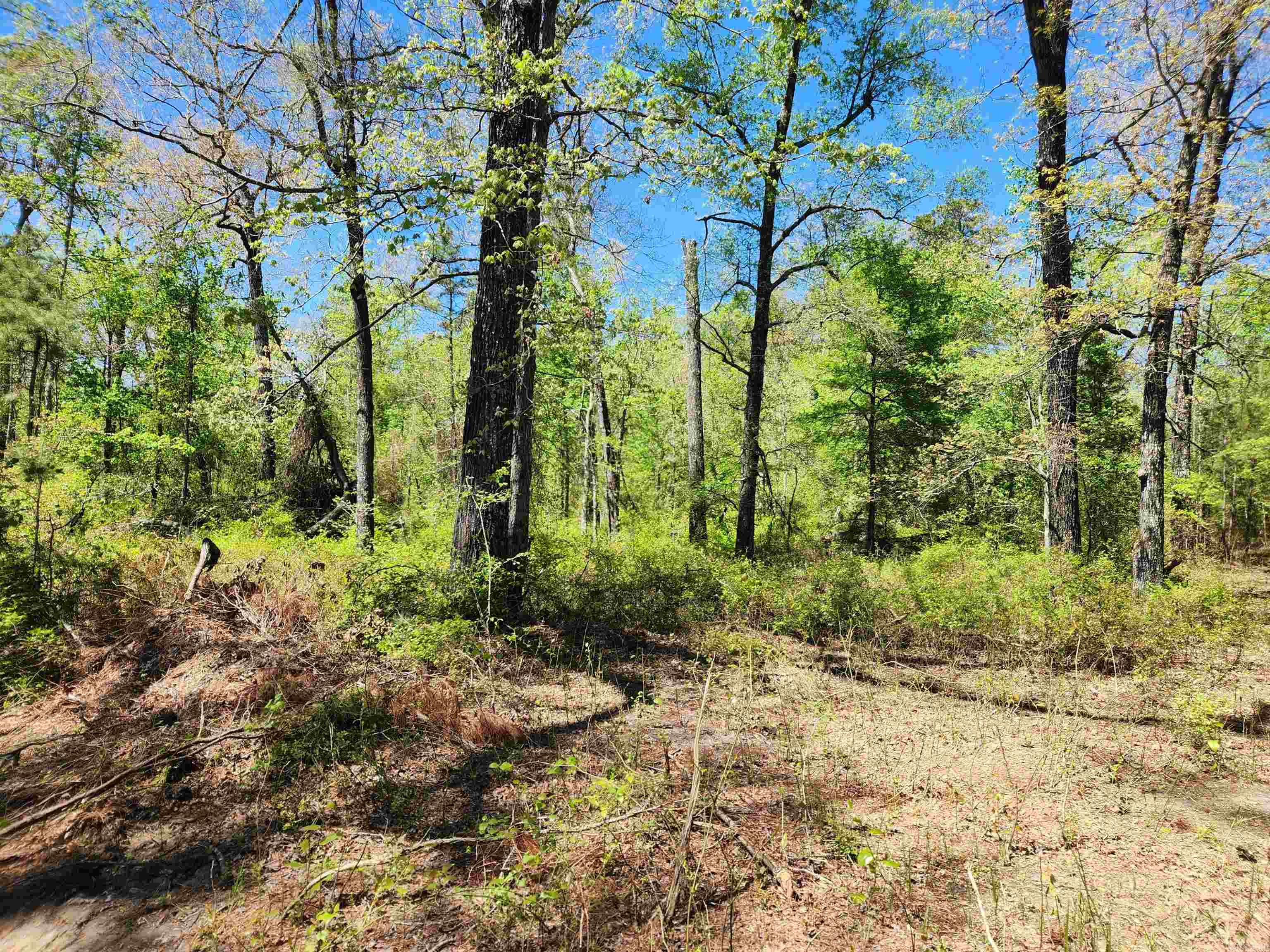 13000 W 54  Pine Bluff, AR