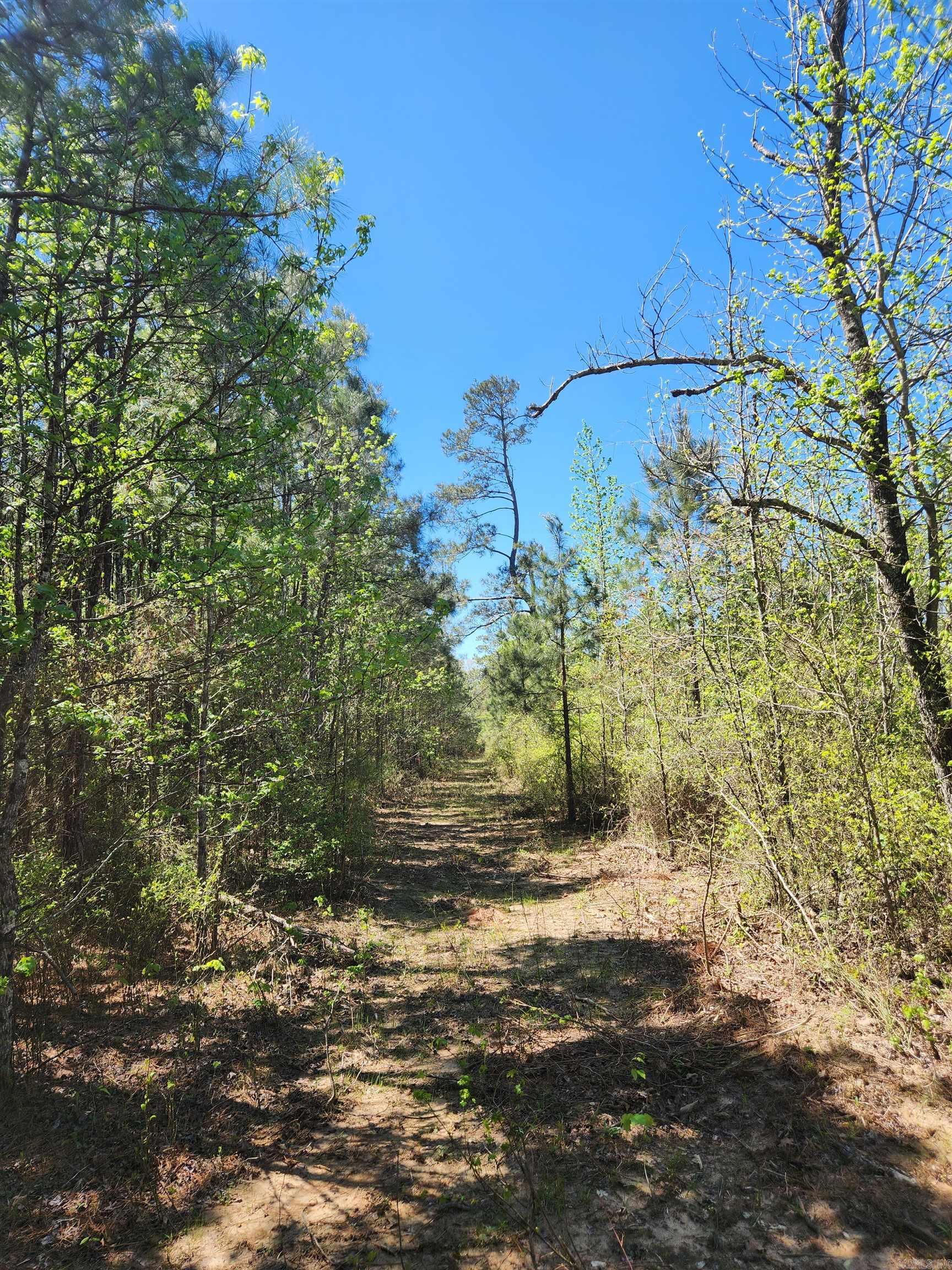 13000 W 54  Pine Bluff, AR