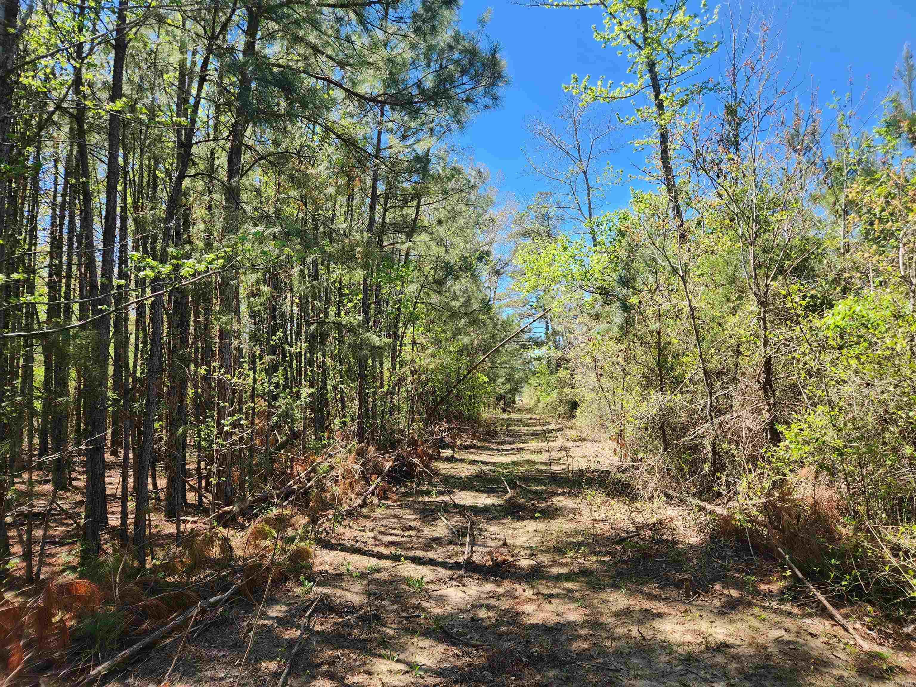 13000 W 54  Pine Bluff, AR